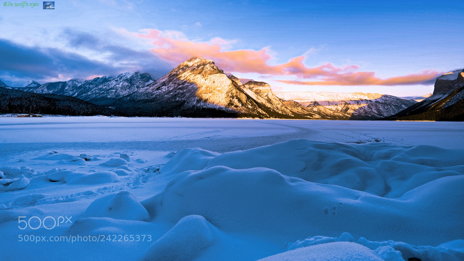 Nikon D810 sample photo. Dawn, canada photography