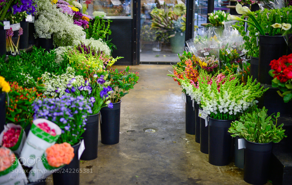 Nikon Df sample photo. Flower shop photography