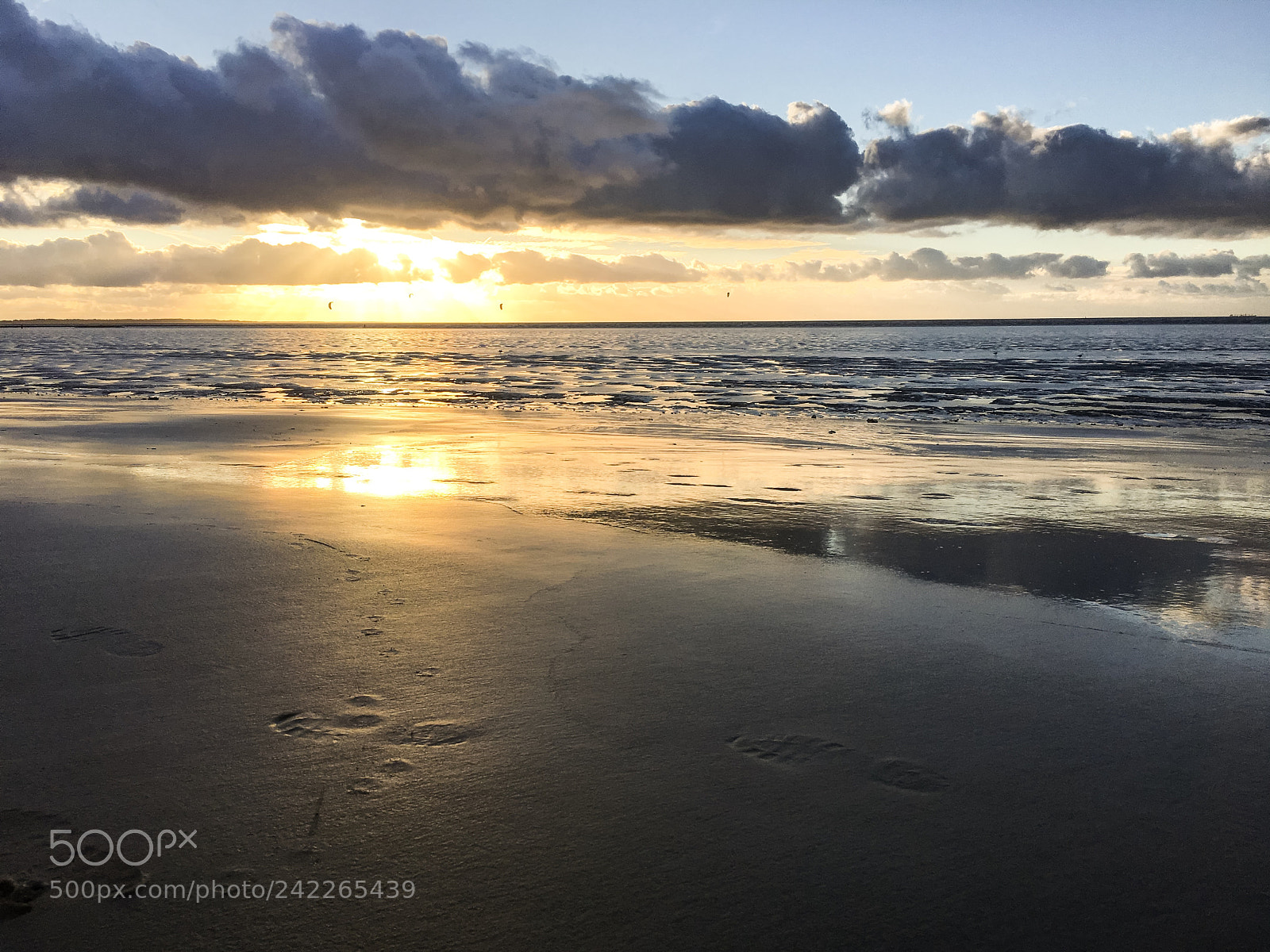 Apple iPhone 6s sample photo. Janvier, d couvre toi photography