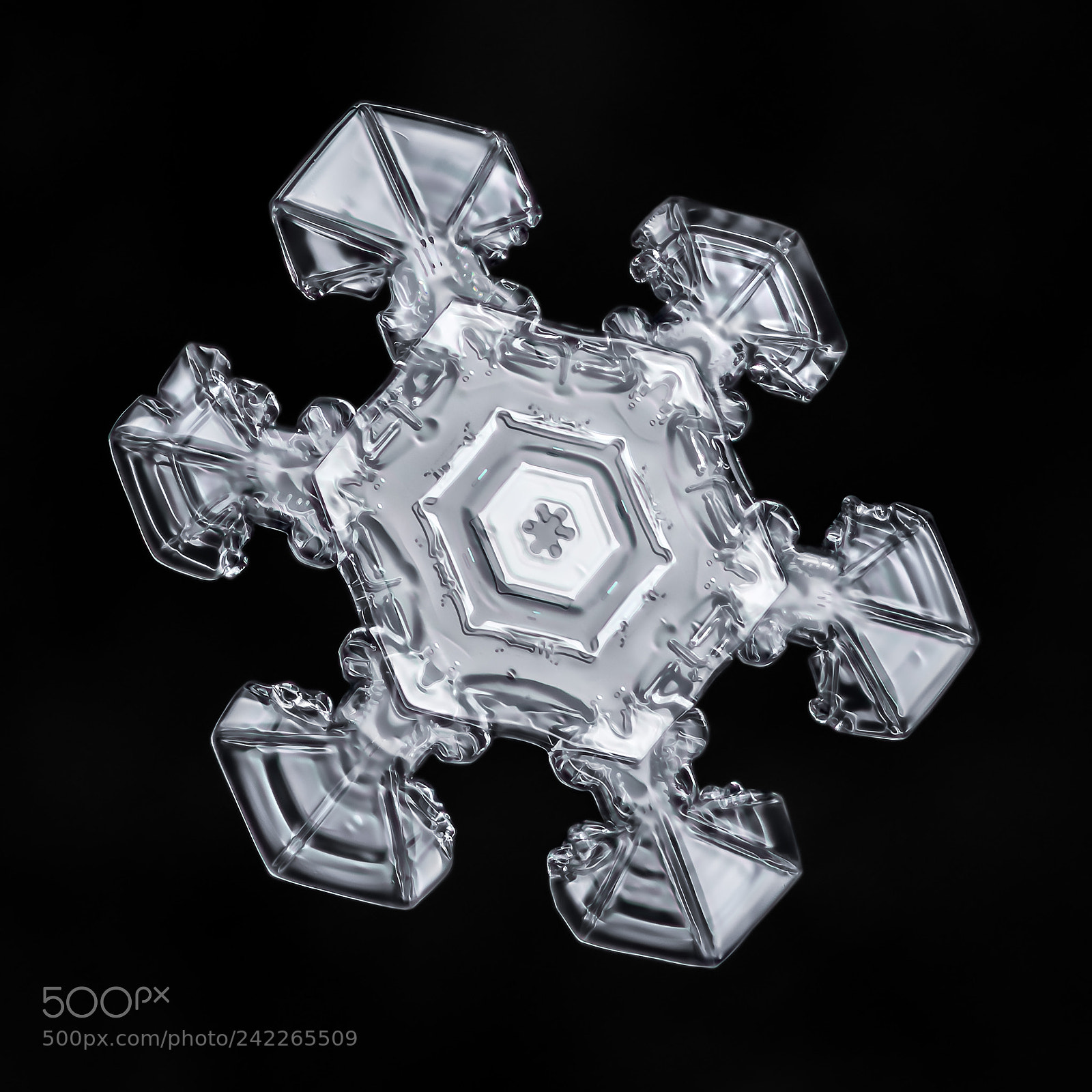 Canon EOS-1D X Mark II sample photo. Snowflake-a-day no. 34 photography