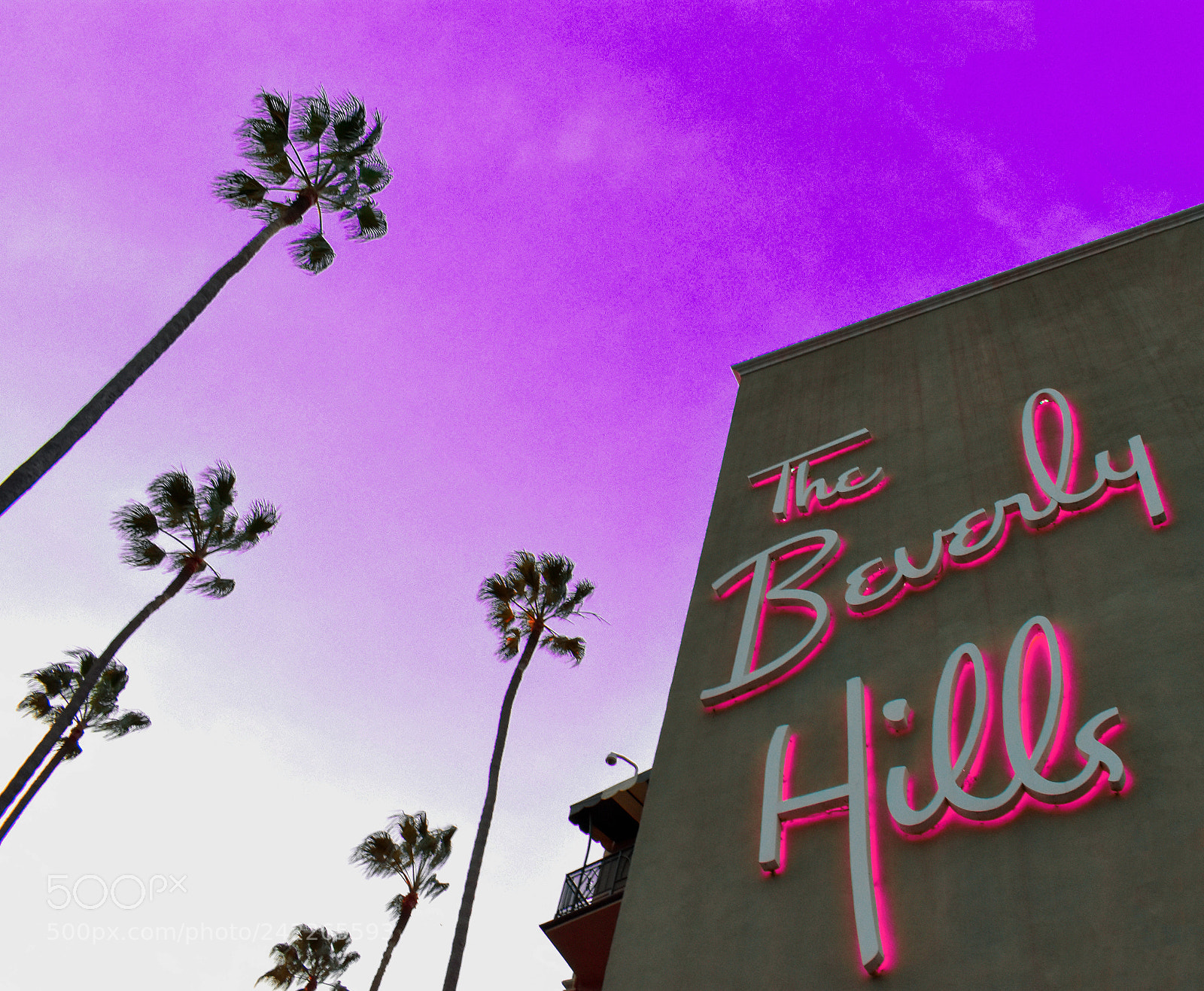Nikon D3400 sample photo. Beverly hills hotel photography