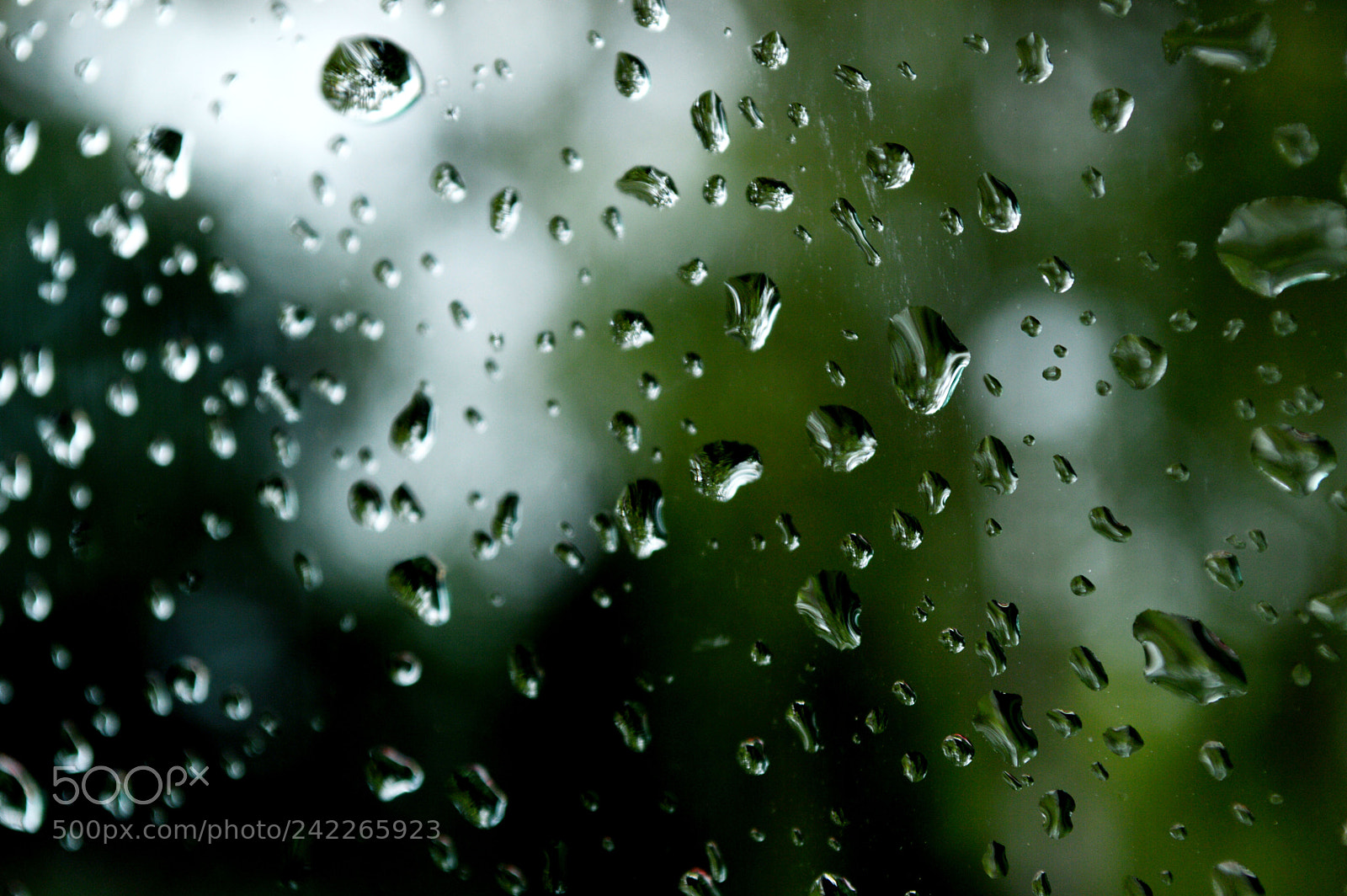 Nikon D3200 sample photo. Raindrops photography