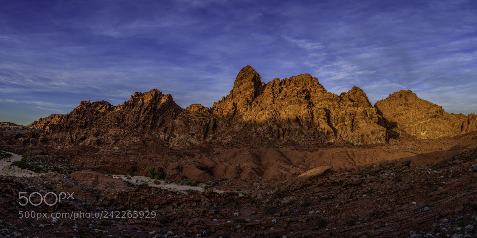 Nikon D810 sample photo. Resolution photography
