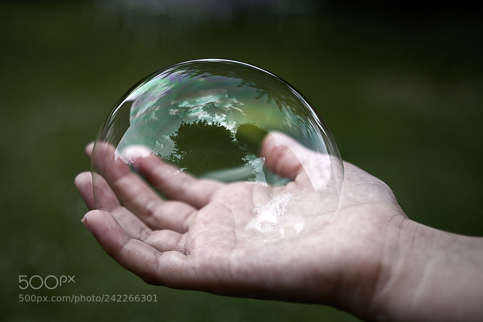 Nikon D7100 sample photo. Bubble on a hand photography
