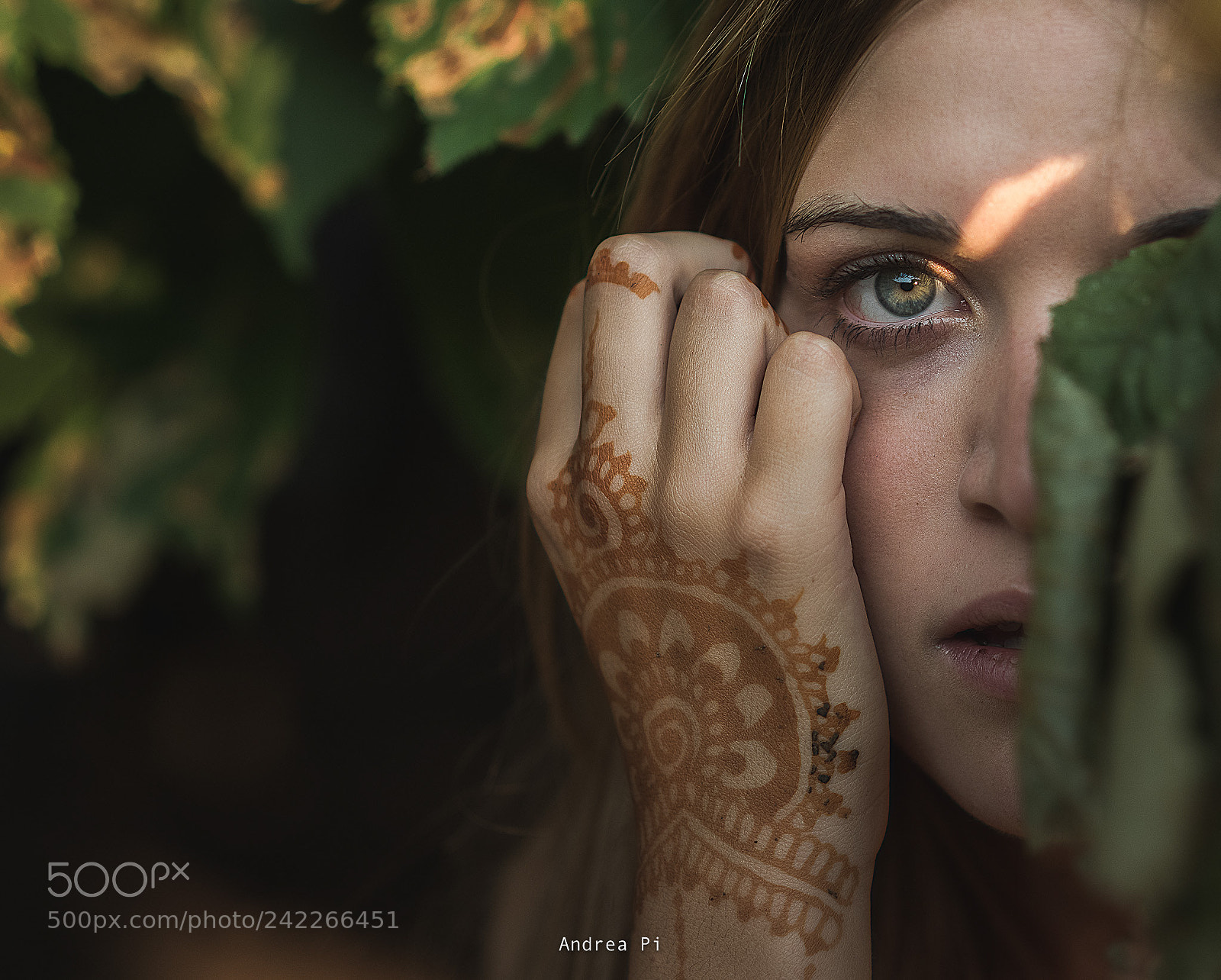 Nikon D810 sample photo. ** photography