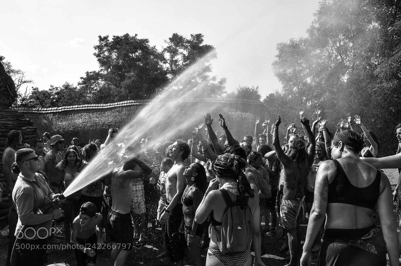 Nikon D90 sample photo. Summer photography