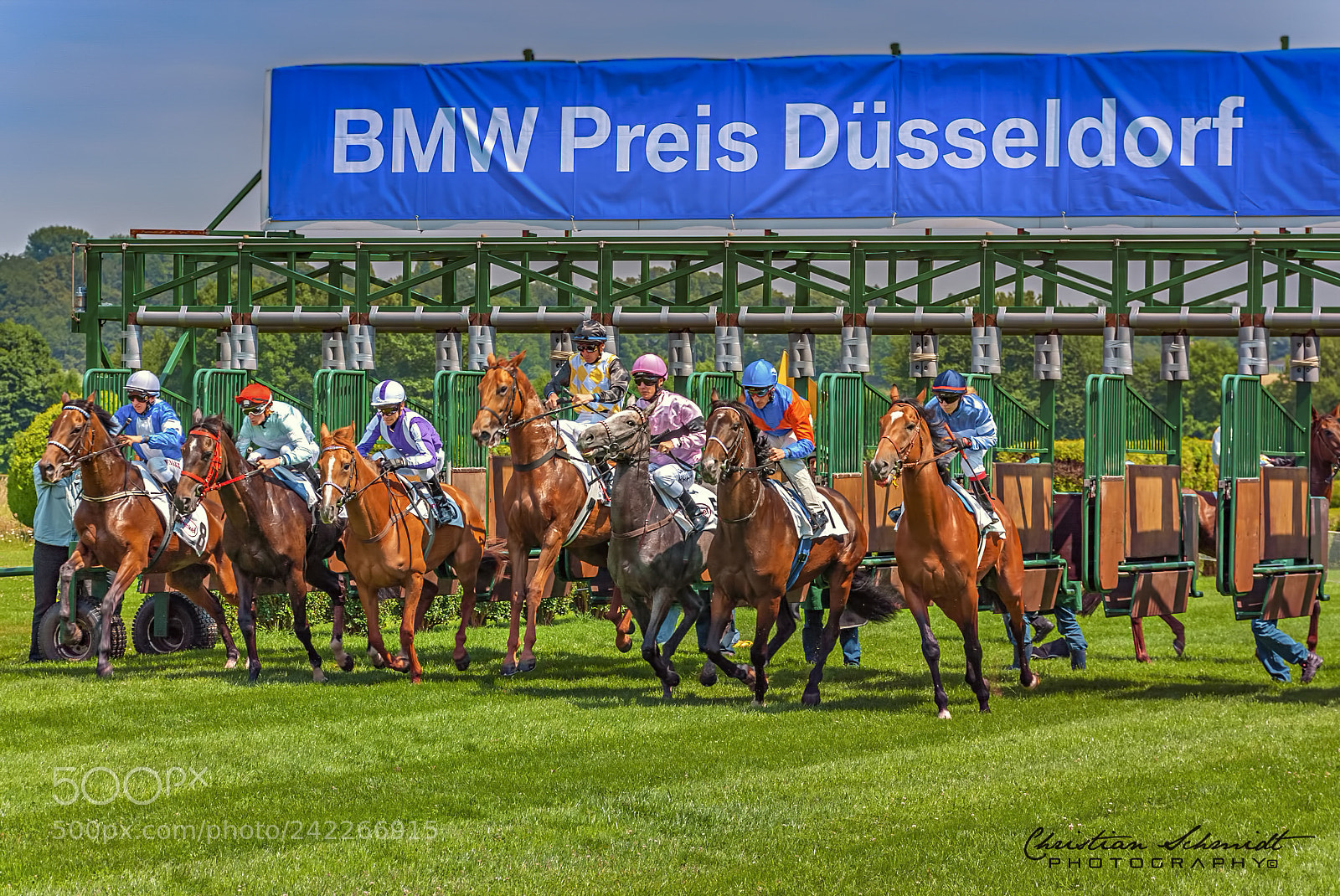 Nikon D80 sample photo. At the horse race photography