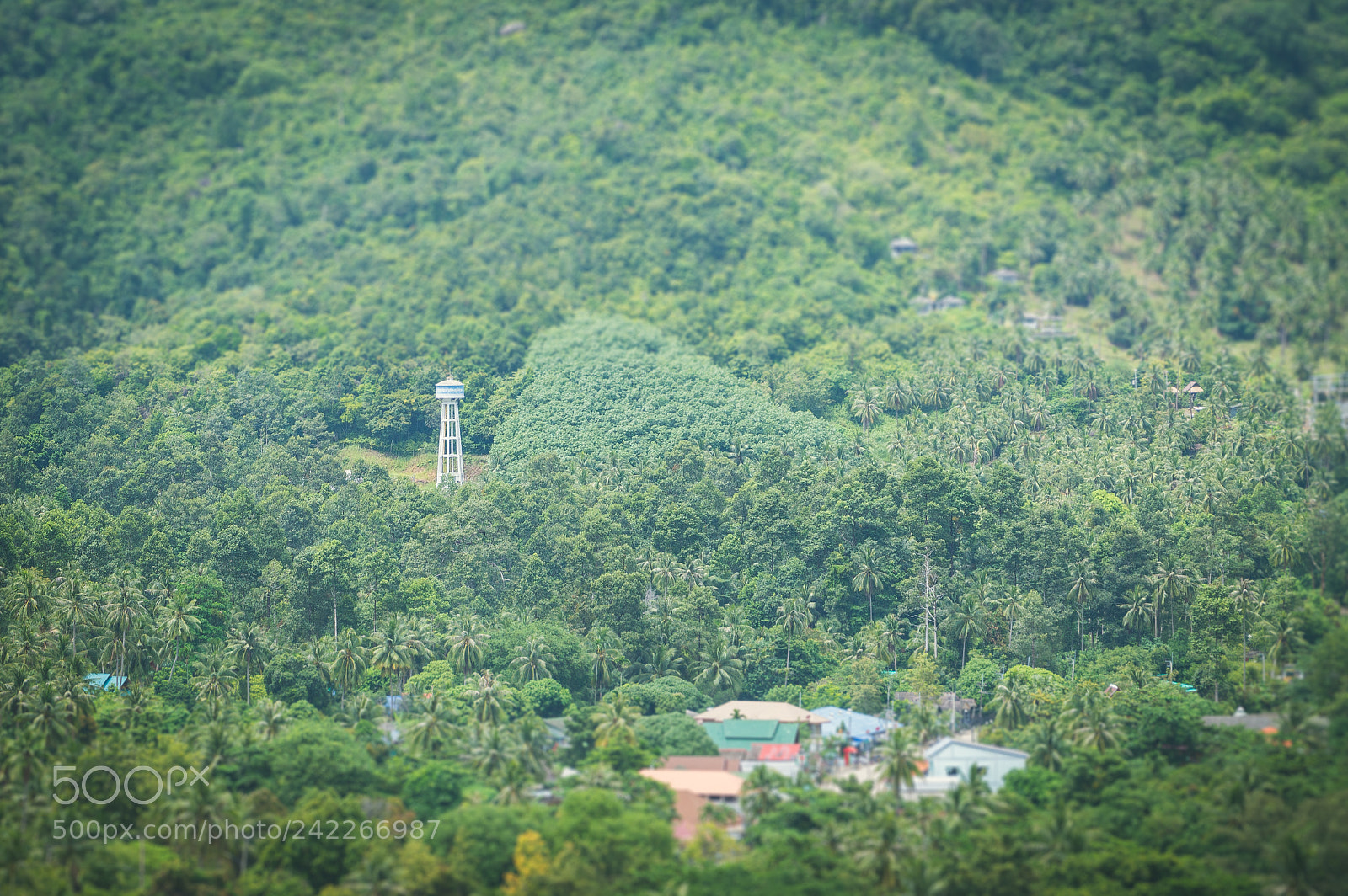 Nikon D3200 sample photo. Jungle life photography