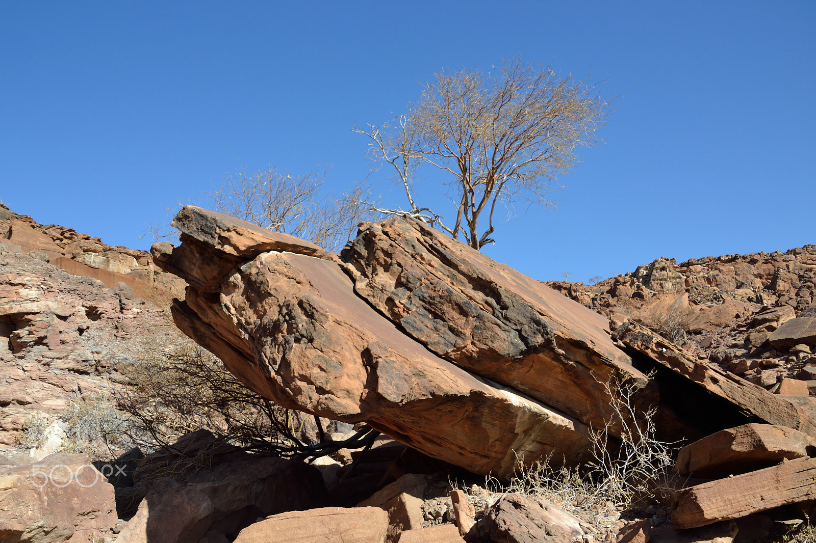 Nikon D3100 sample photo. L'arbre sobre les roques photography