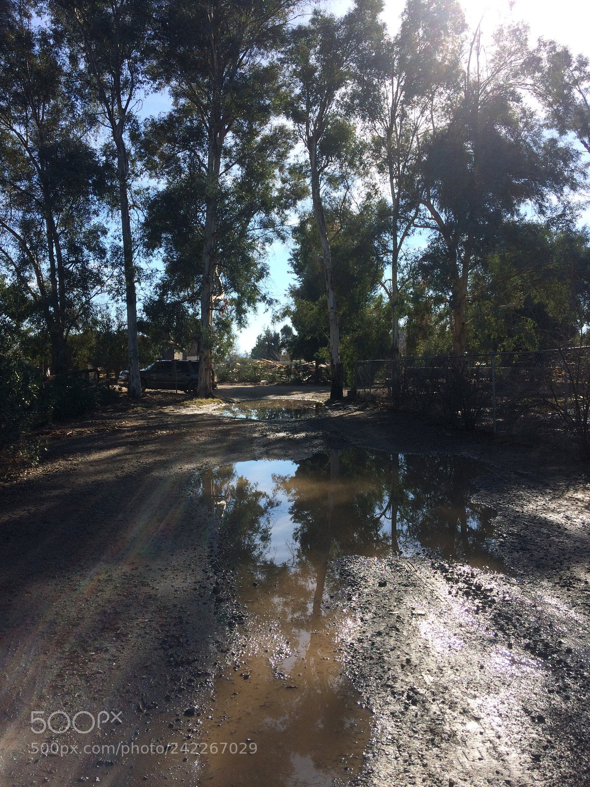 Apple iPhone 5s sample photo. After the rain. wildomar photography