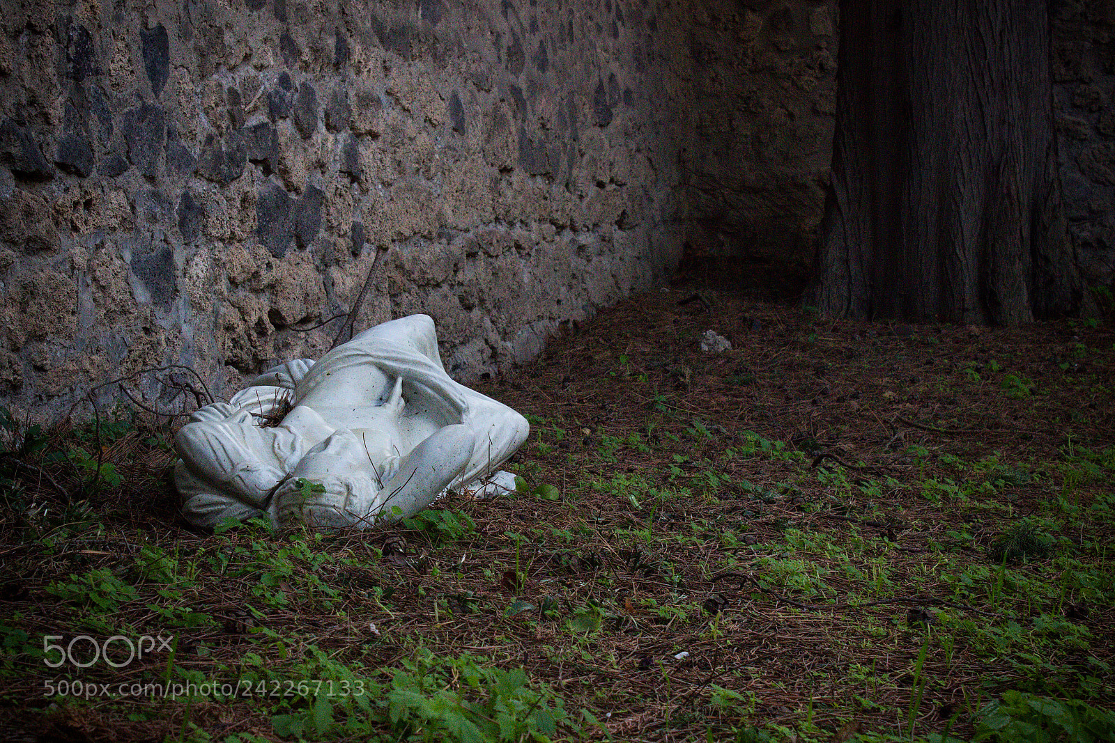Canon EOS 100D (EOS Rebel SL1 / EOS Kiss X7) sample photo. Fallen angel photography