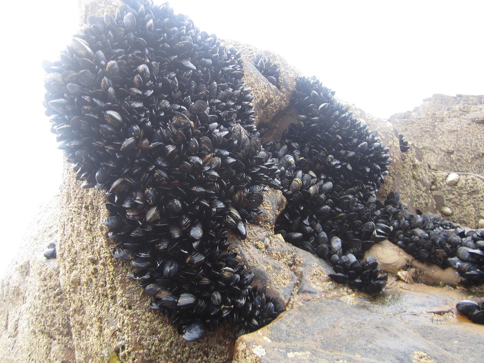 Canon PowerShot A2200 sample photo. Bude cliffs photography