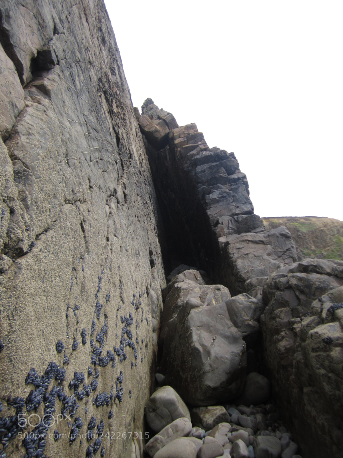 Canon PowerShot A2200 sample photo. Bude cliffs photography