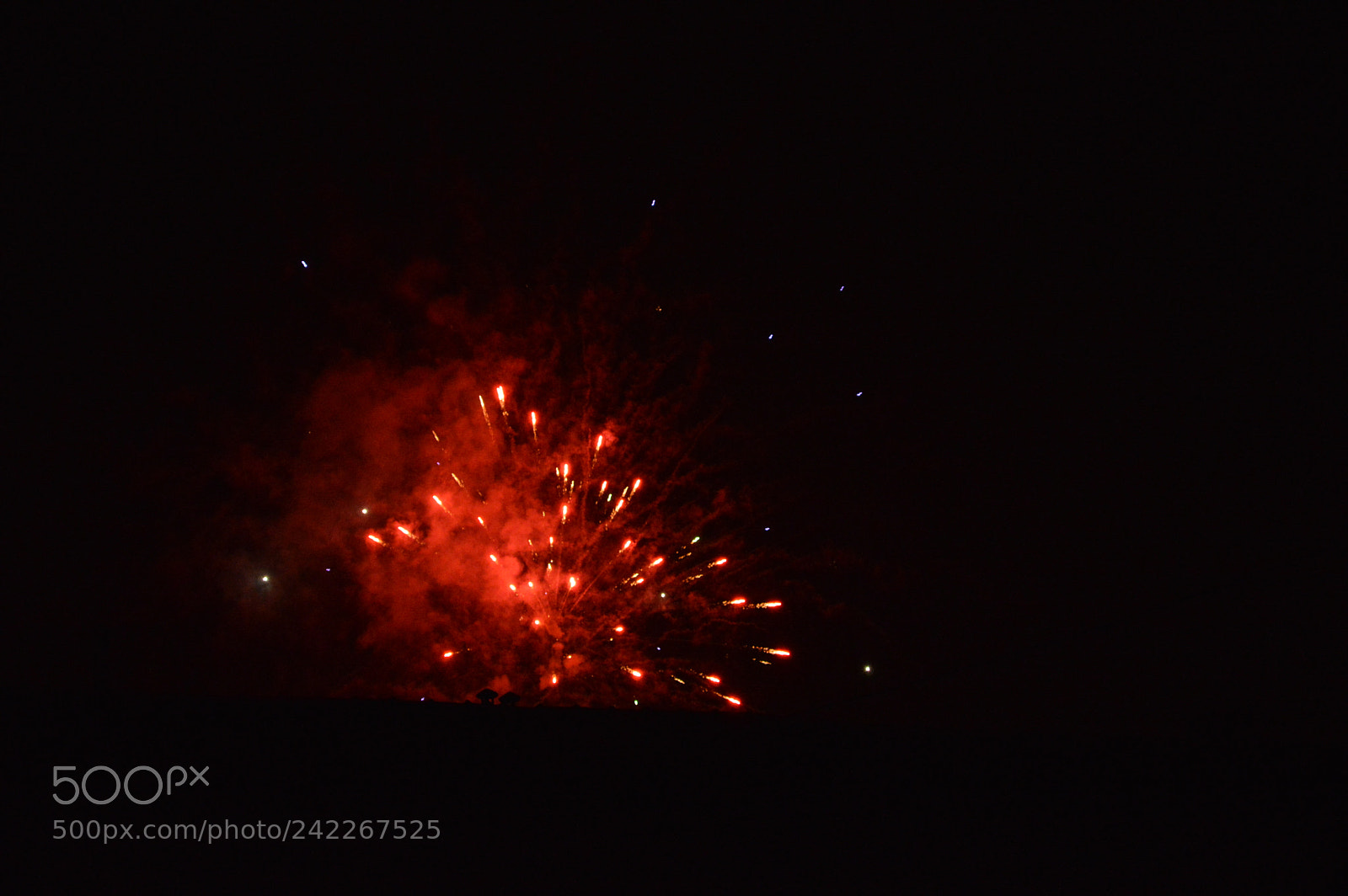 Nikon D3200 sample photo. Red rocket photography