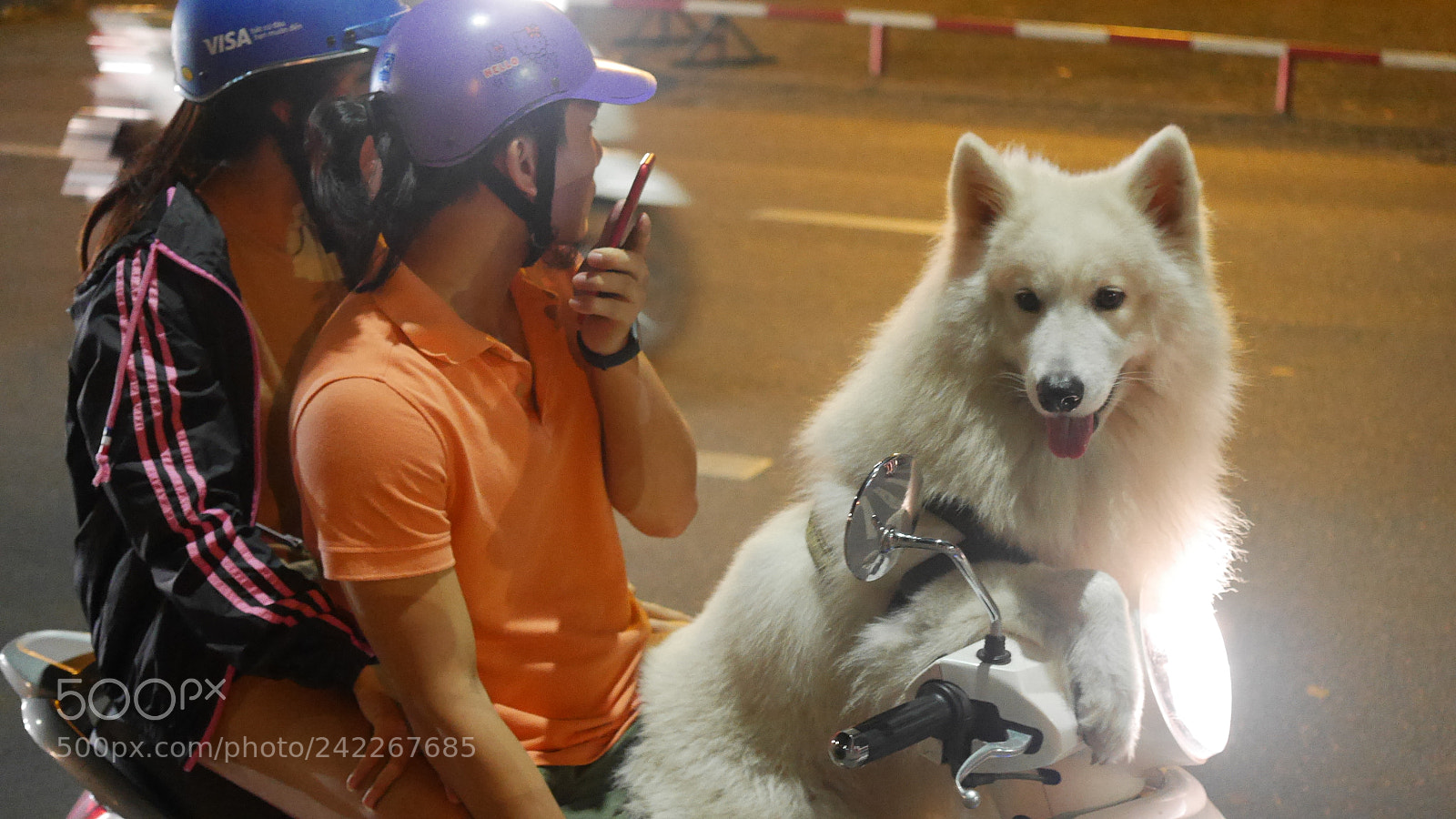 Panasonic Lumix DMC-GX7 sample photo. Untitled photography