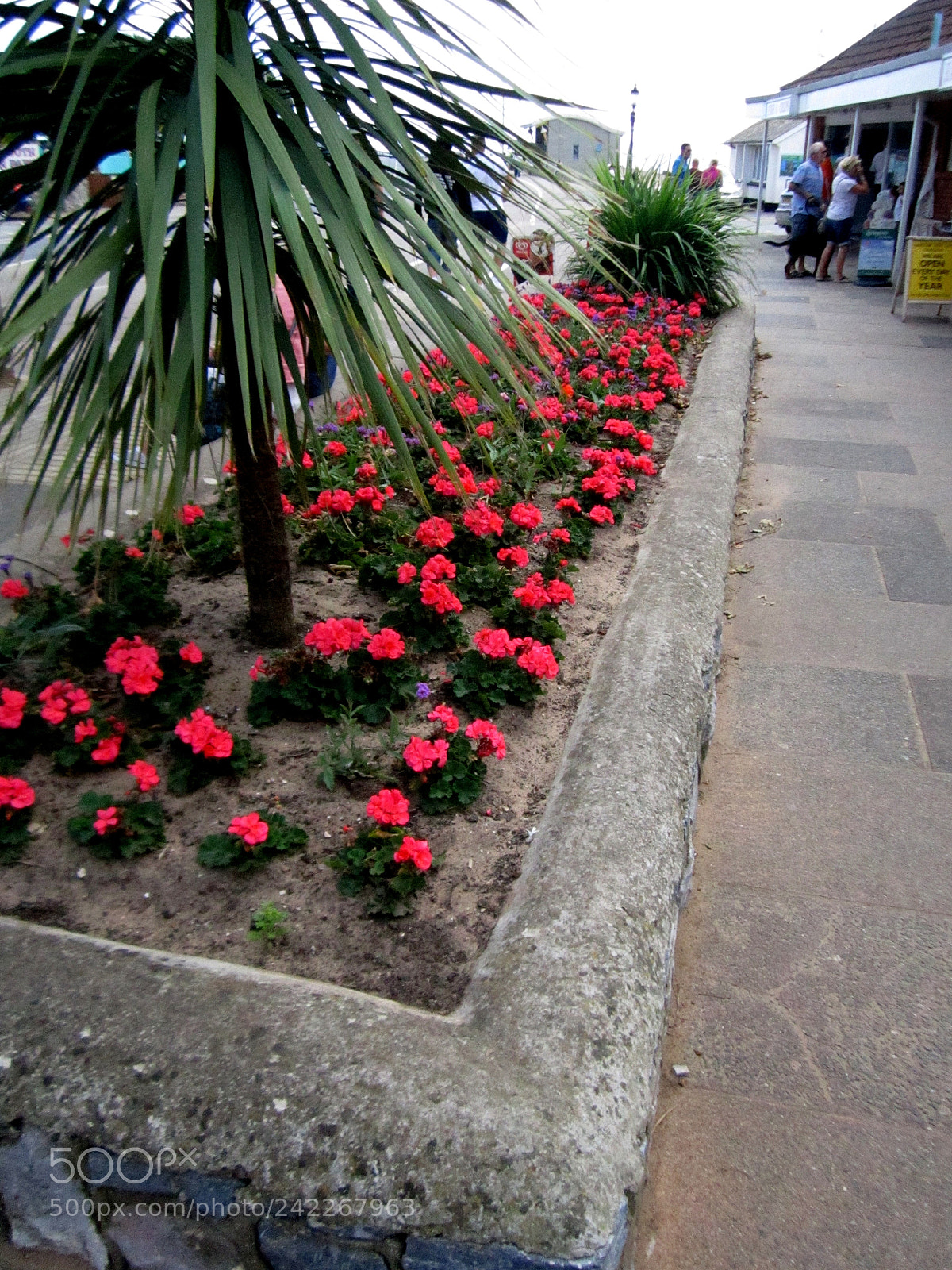 Canon PowerShot A2200 sample photo. Exmouth photography