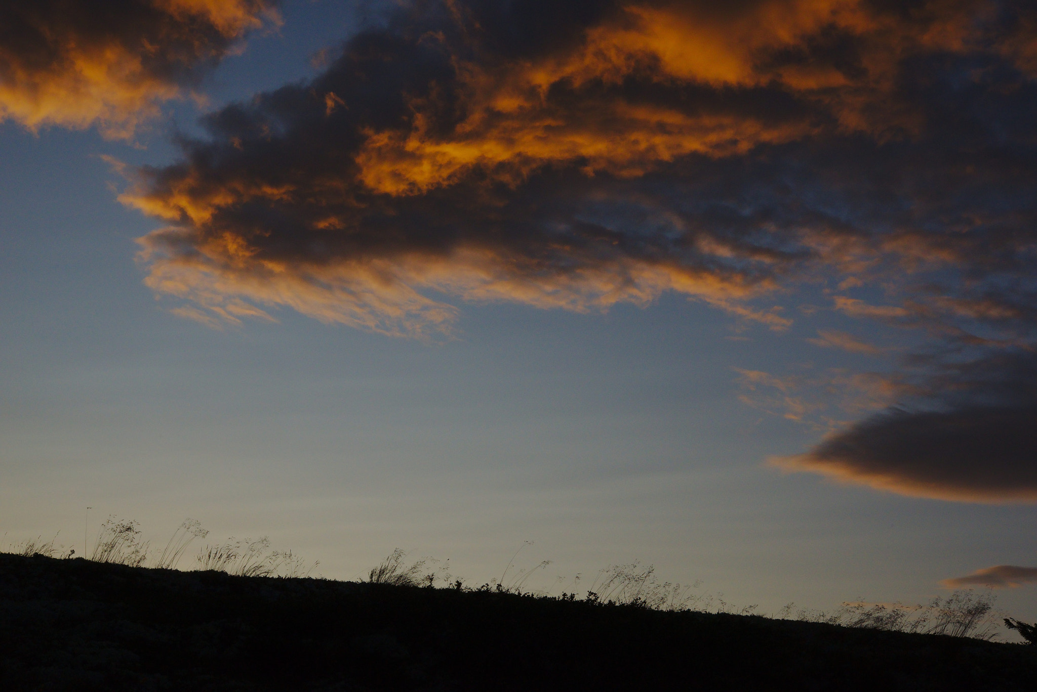 Nikon D610 + Nikon AF-S Micro-Nikkor 60mm F2.8G ED sample photo. Night at the grass tundra photography