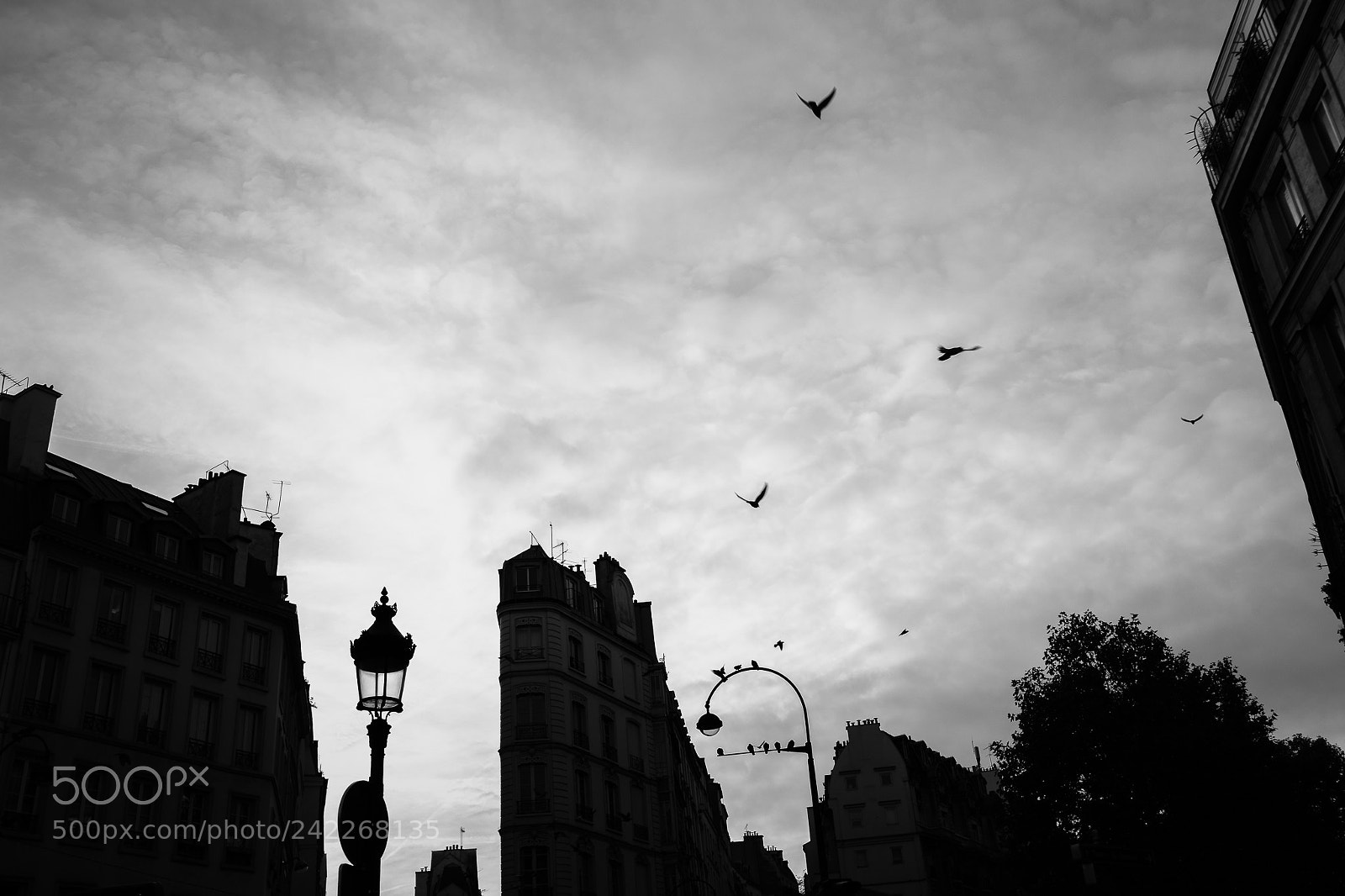 Fujifilm X-Pro2 sample photo. Paris 2017 photography