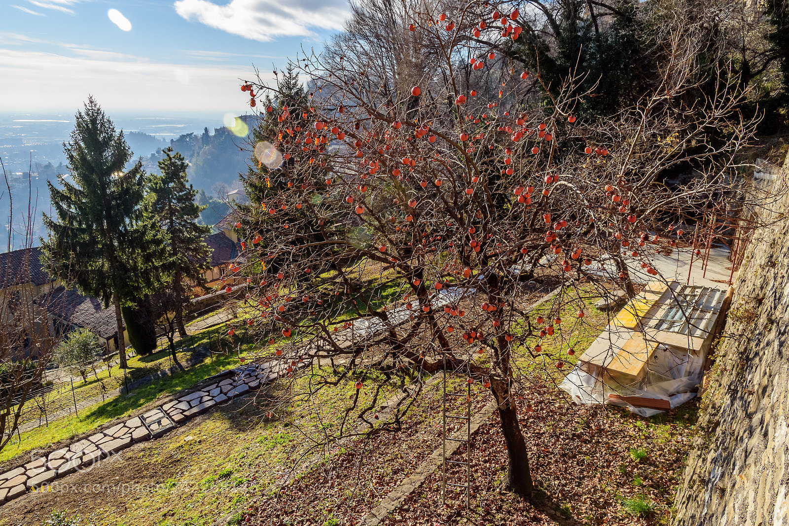 Nikon D5500 sample photo. Bergamo photography