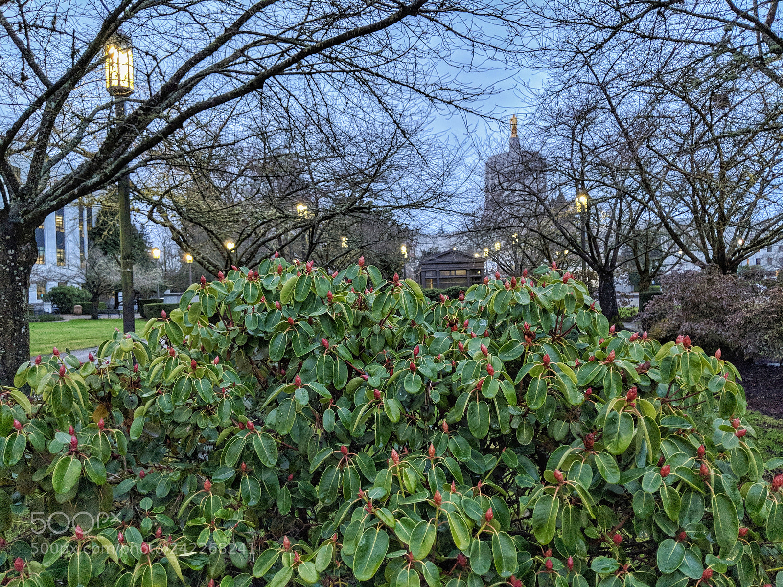 Google Pixel 2 sample photo. Morning capitol 1122018 photography