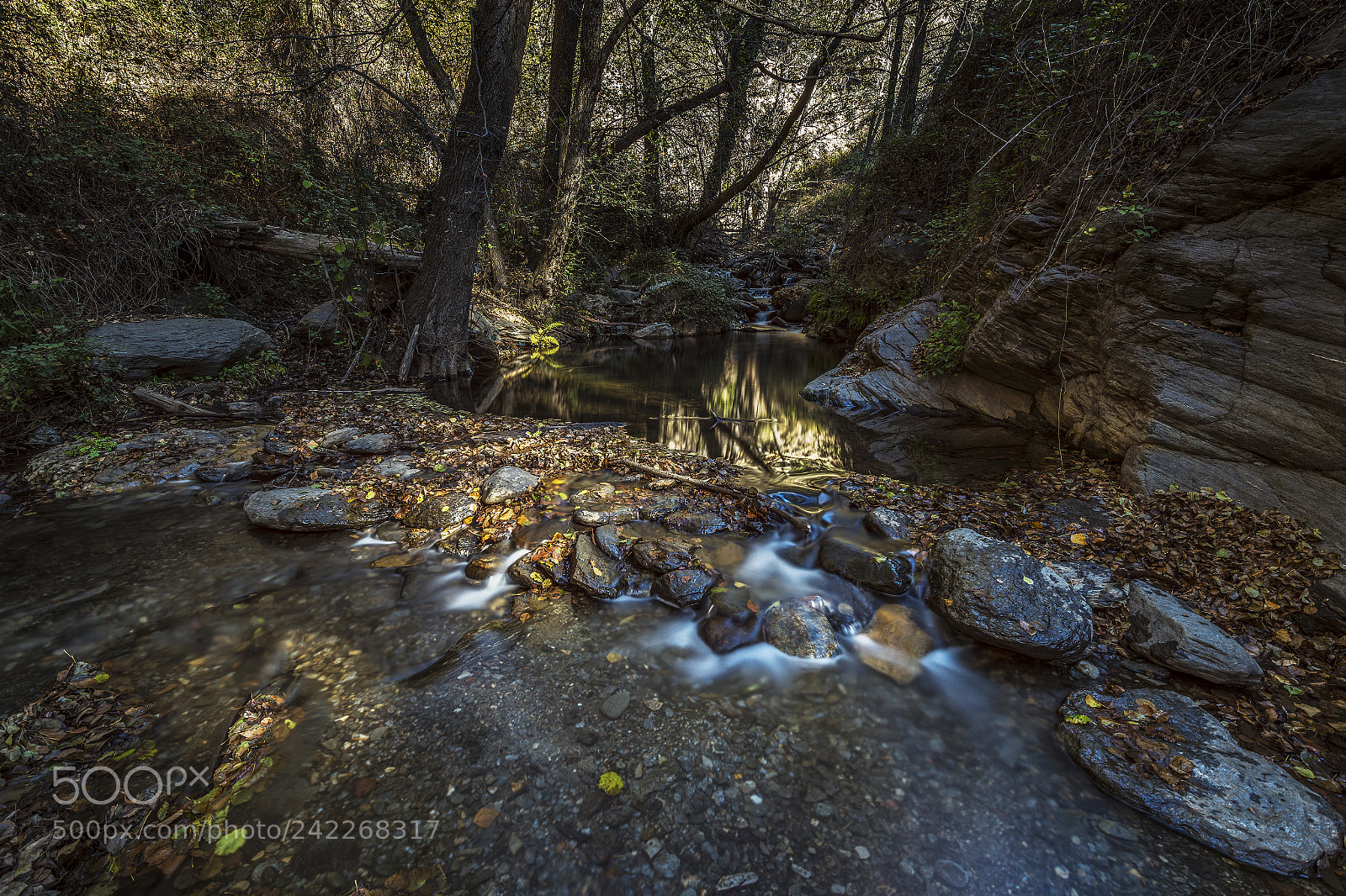 Nikon D800 sample photo. Laujar de andarax photography