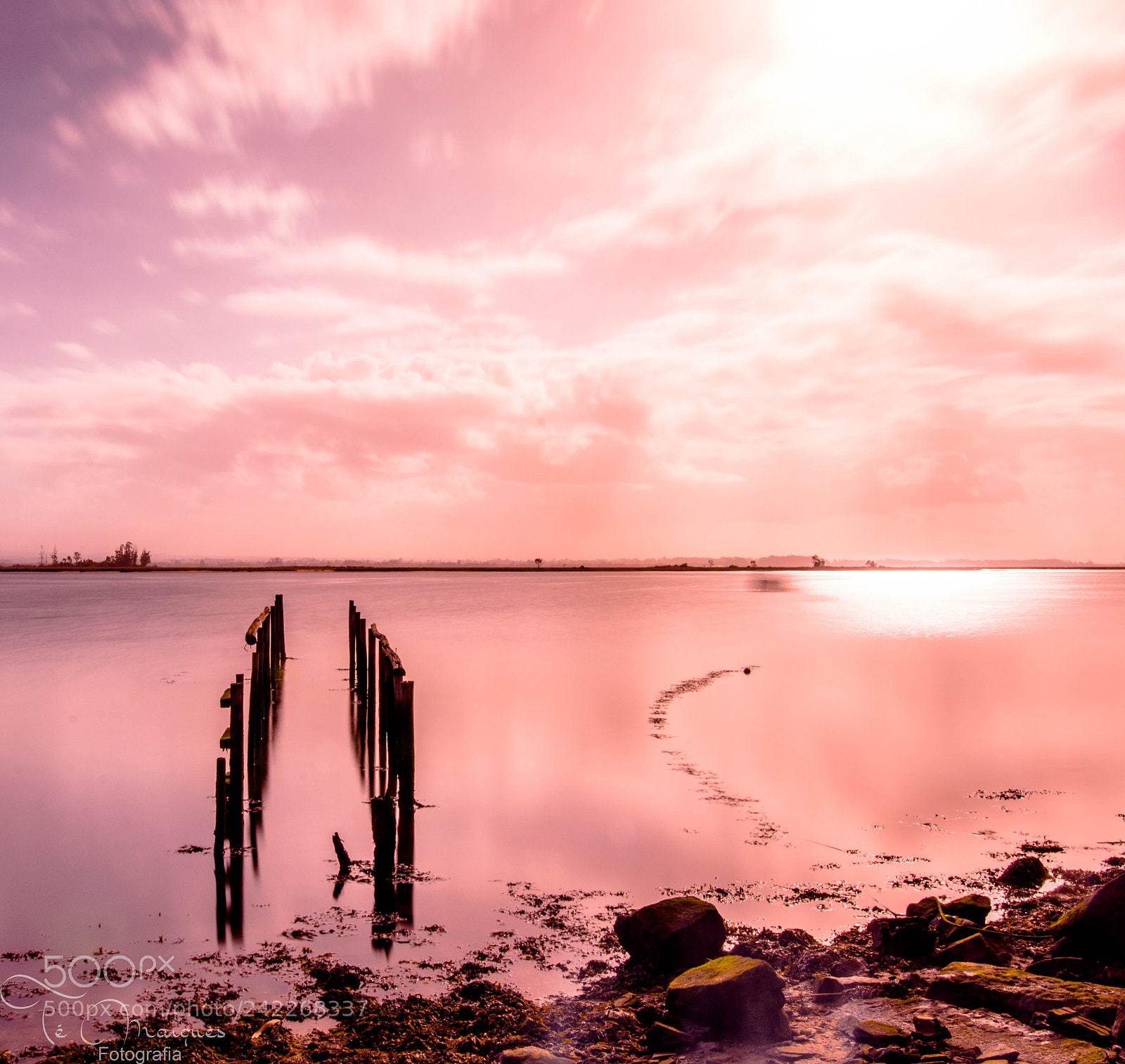Nikon D7200 sample photo. Special mornings photography