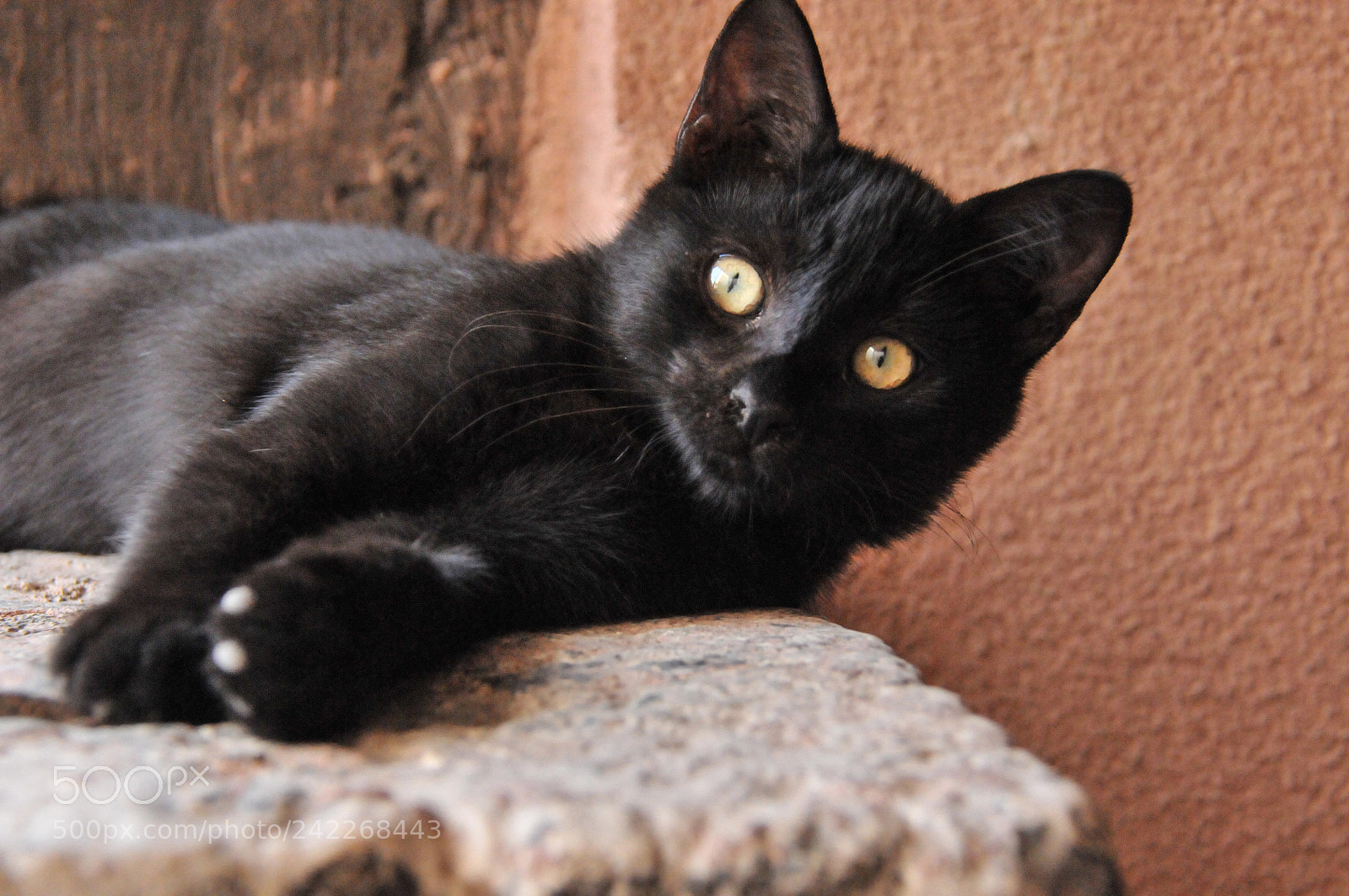 Nikon D300 sample photo. Sauron eyes photography