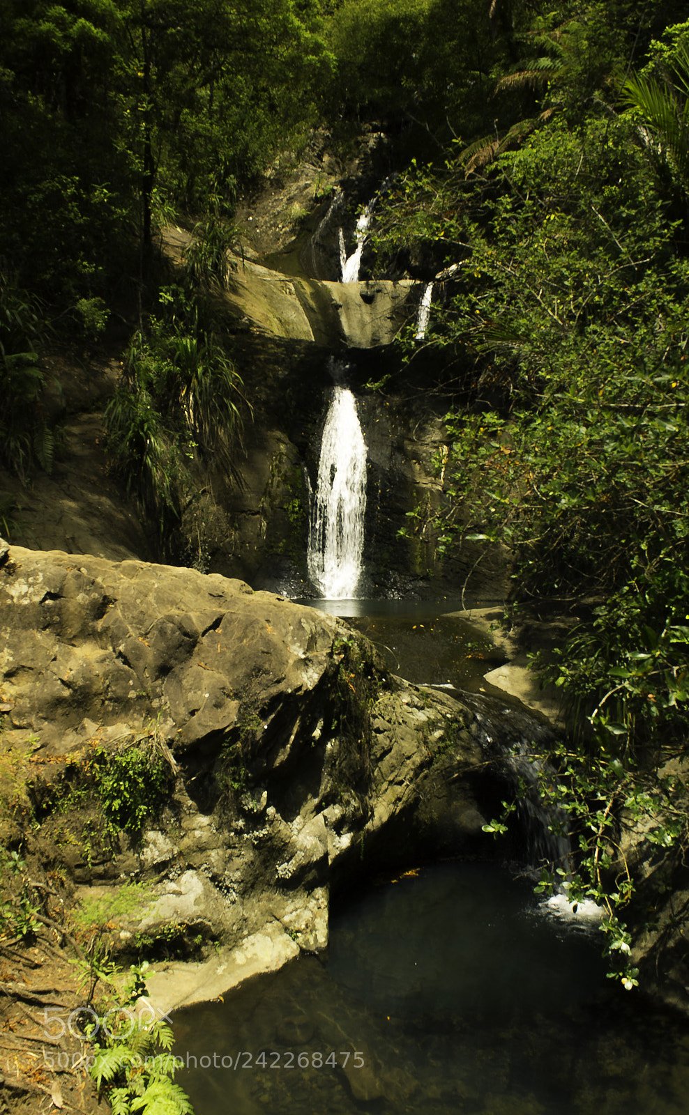Canon EOS 1100D (EOS Rebel T3 / EOS Kiss X50) sample photo. Above fairy falls photography