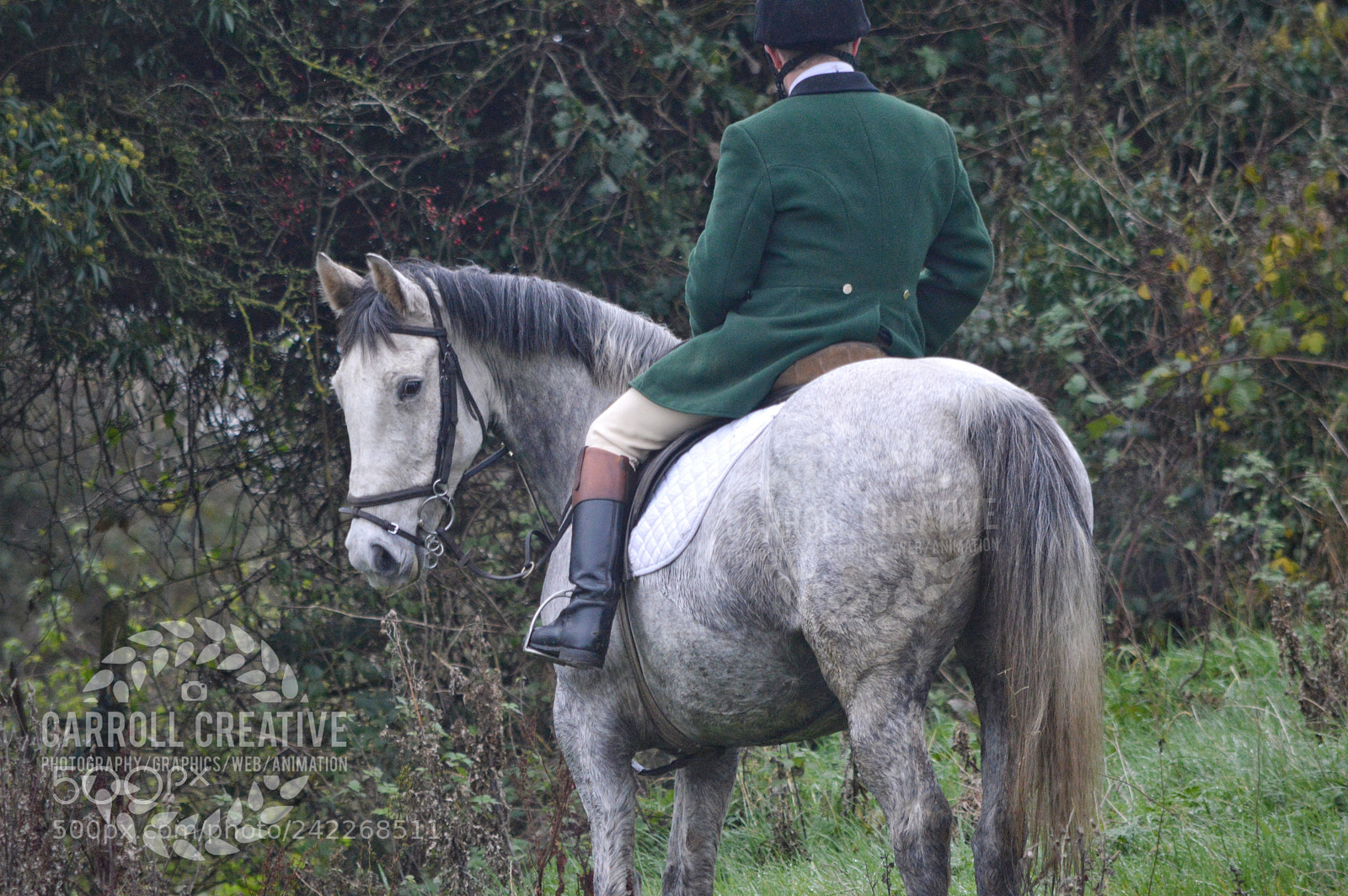 Nikon D3200 sample photo. Hunting horse  photography