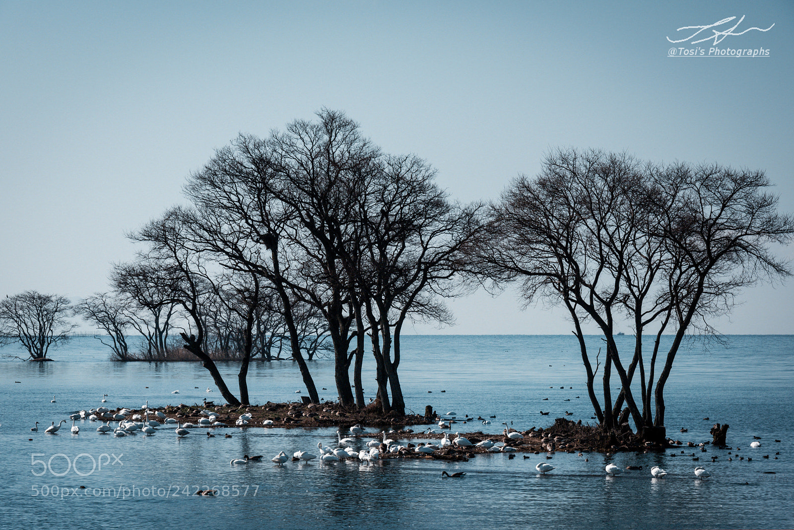 Nikon D810 sample photo. Get together photography