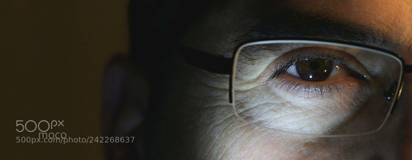 Nikon D800 sample photo. Sharp look ... photography