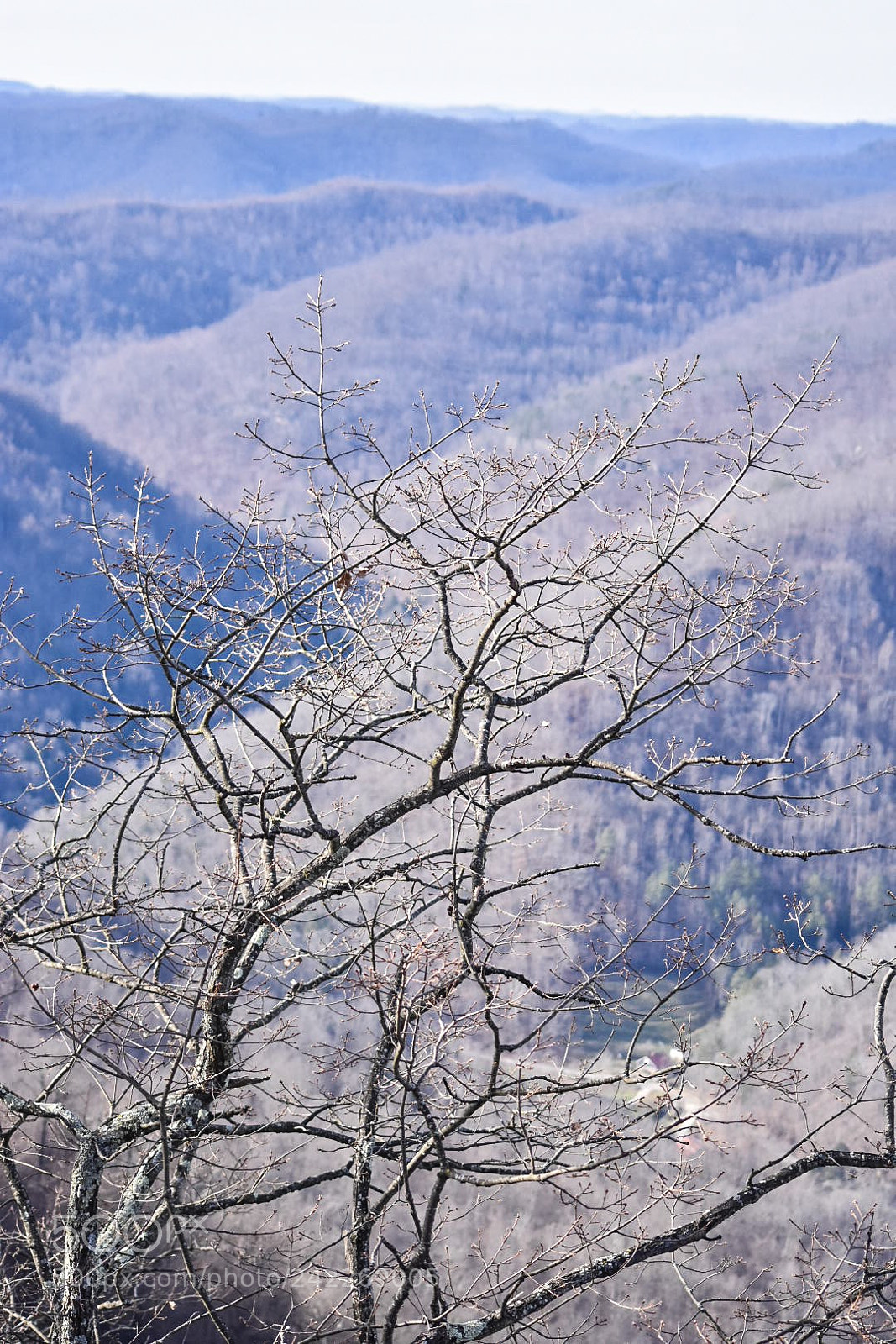 Nikon D3400 sample photo. Appalachian mountains. photography