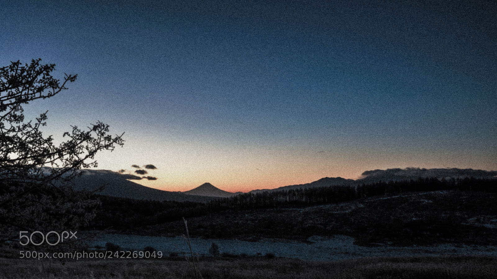 Sony a7 II sample photo. 霧ヶ峰 photography
