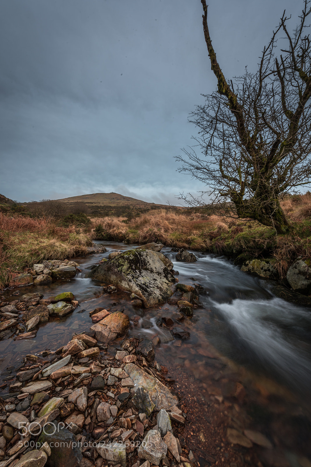 Nikon D810 sample photo. Dusk by the river photography