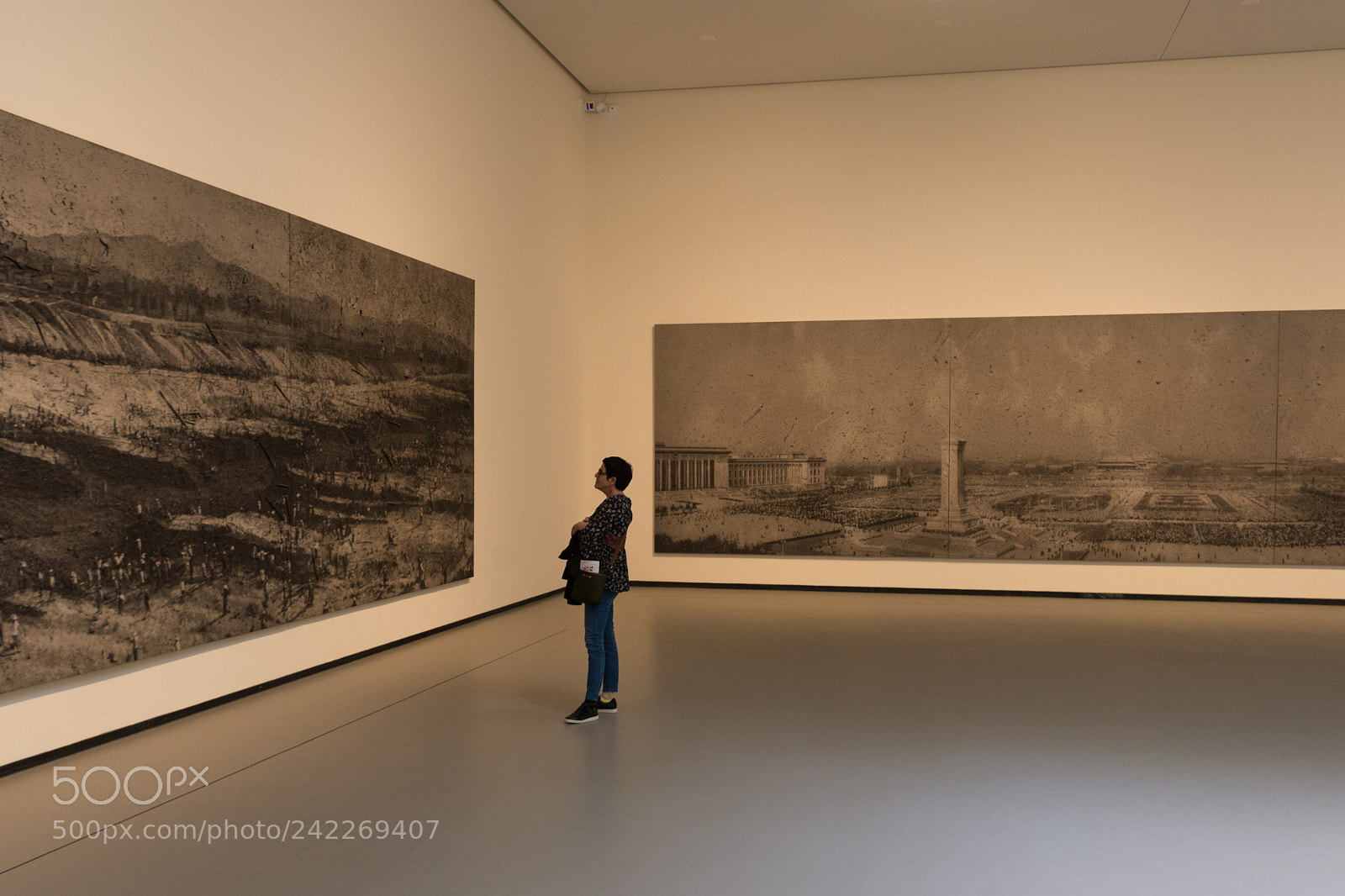 Nikon D7200 sample photo. Louis vuitton foundation, paris photography