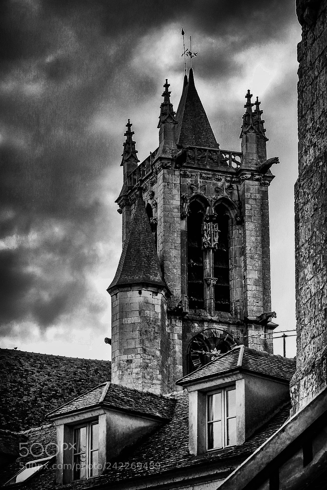 Canon EOS-1D Mark IV sample photo. Regard sur les toits!! photography
