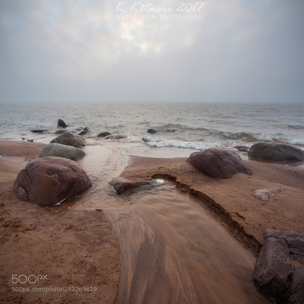 Nikon D700 sample photo. The misty morning photography
