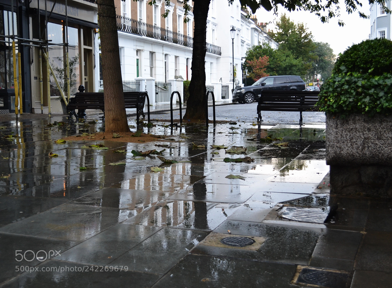 Nikon D3100 sample photo. 'these dark days of photography