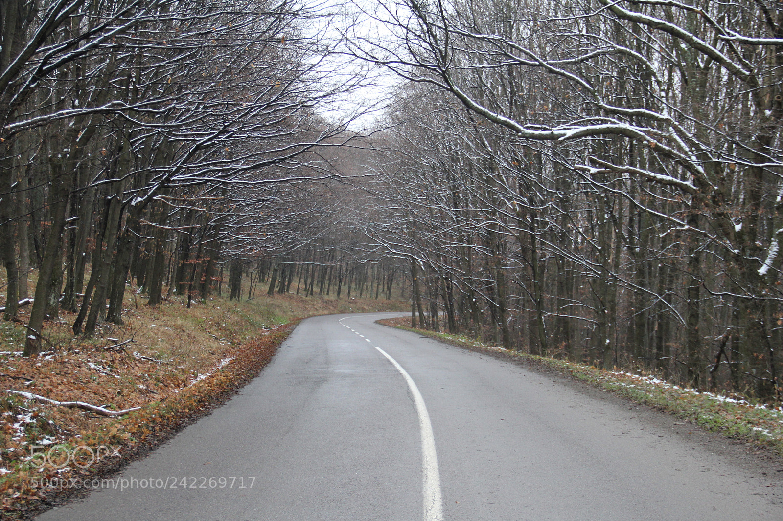Canon EF-S 18-135mm F3.5-5.6 IS sample photo. Road photography