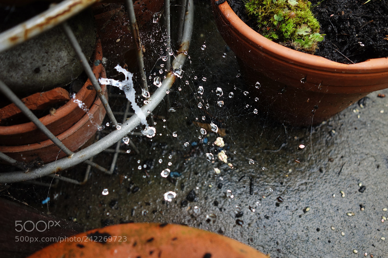 Sony Cyber-shot DSC-RX100 sample photo. 'these dark days of photography