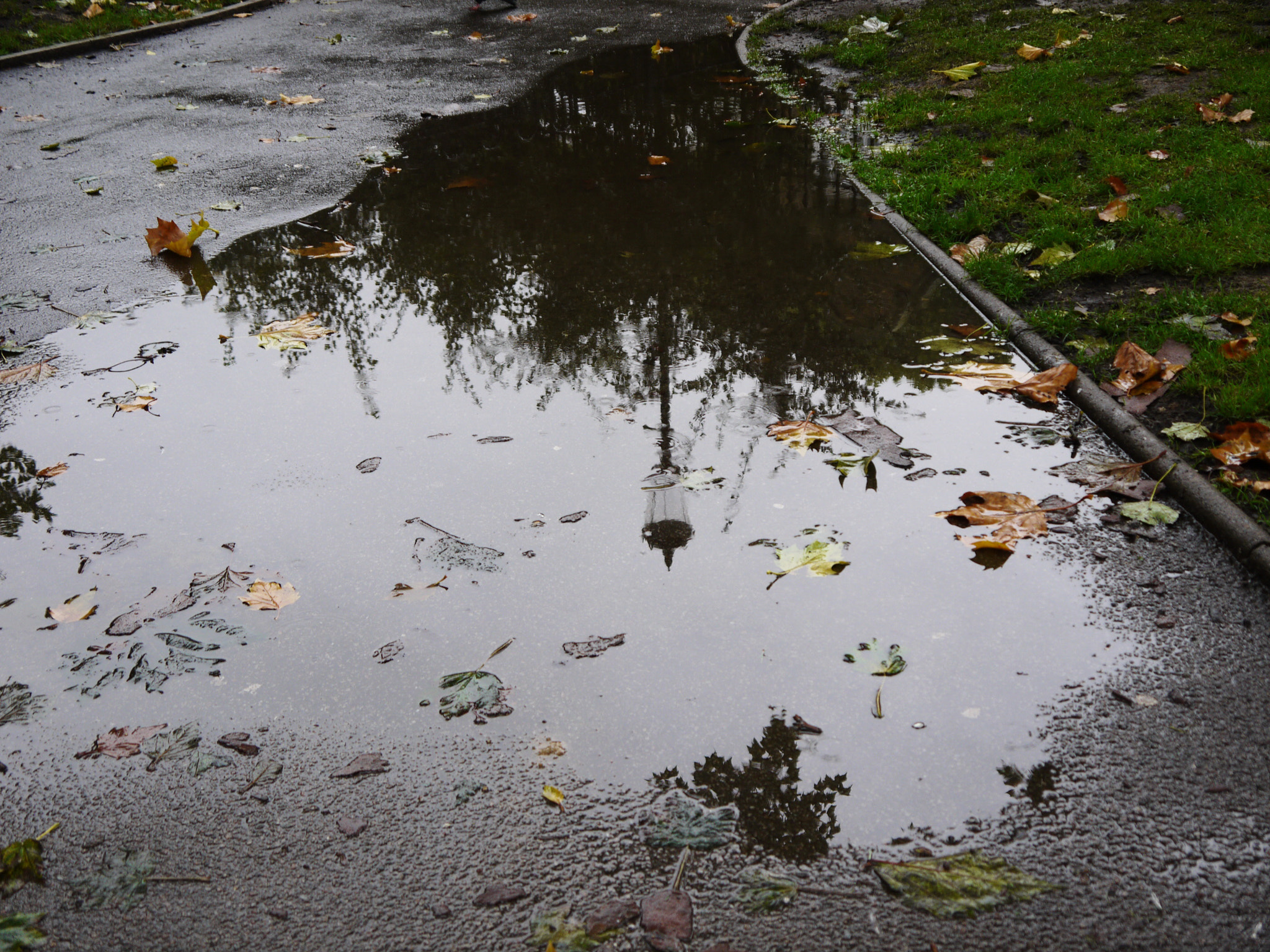 Panasonic Lumix DMC-GF3 sample photo. 'these dark days of autumn rain...' photography