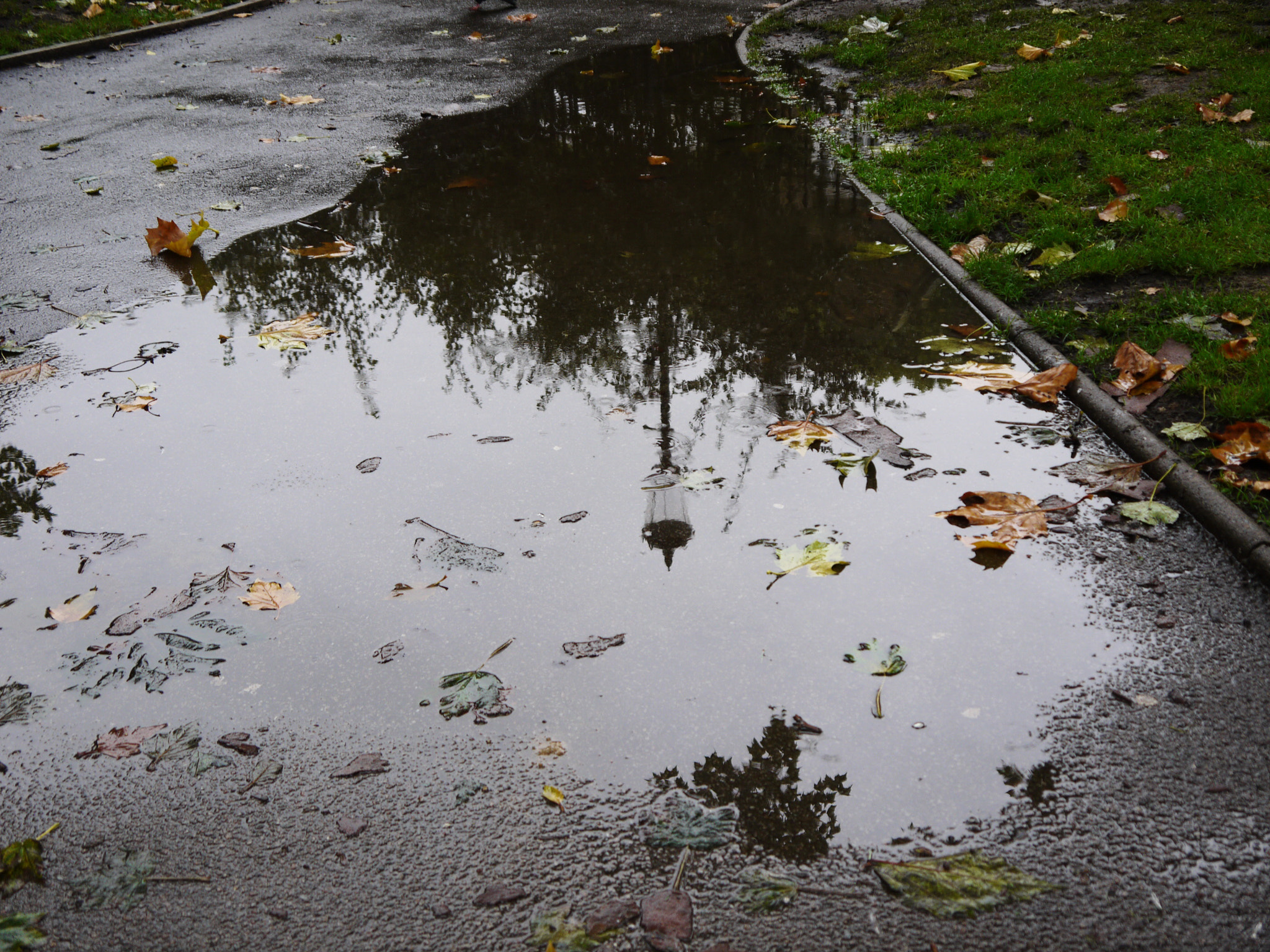 Panasonic Lumix DMC-GF3 + IO 14-42mm F3.5-5.6 sample photo. 'these dark days of autumn rain...' photography