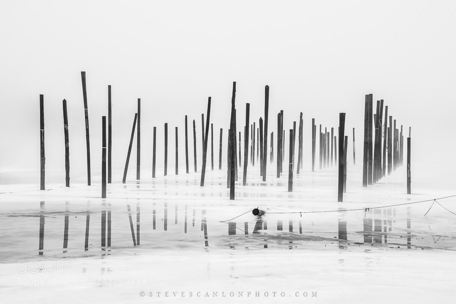 Nikon D5500 sample photo. Ice and fog photography