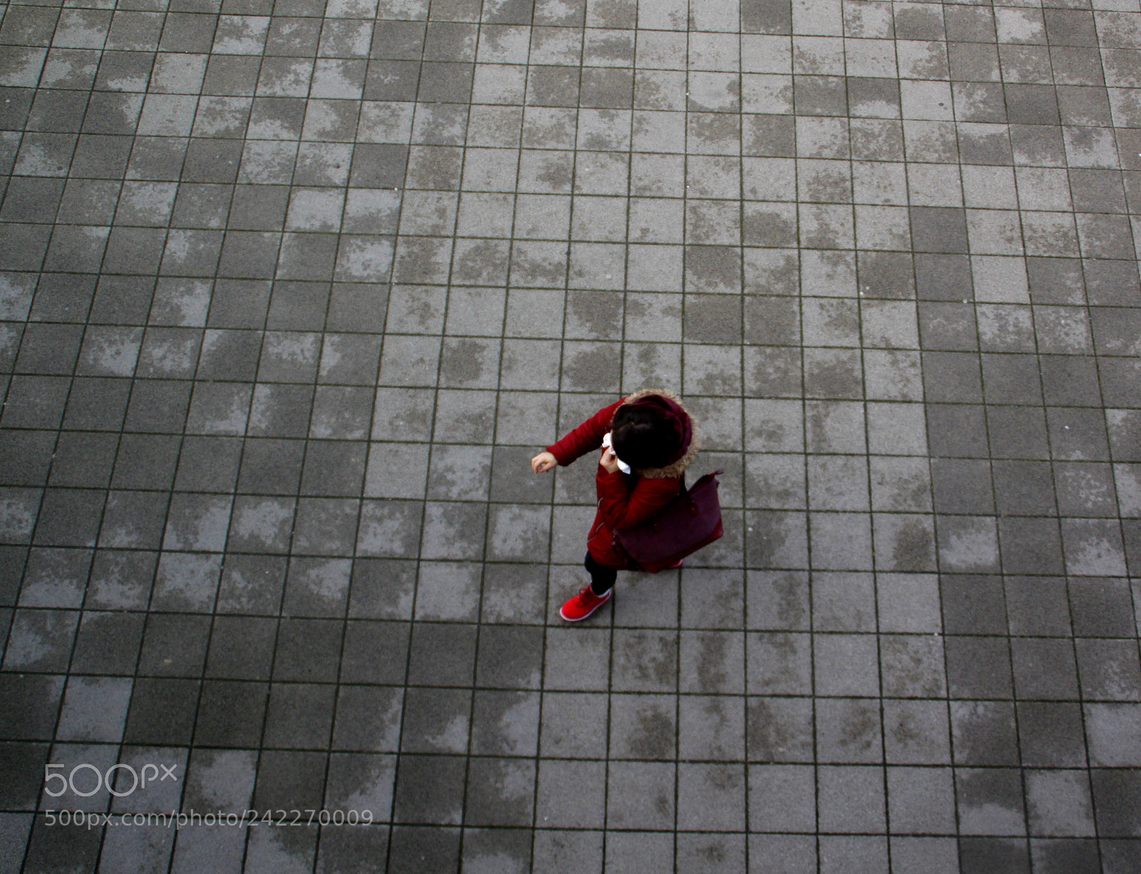 Canon EOS 50D sample photo. Untitled photography