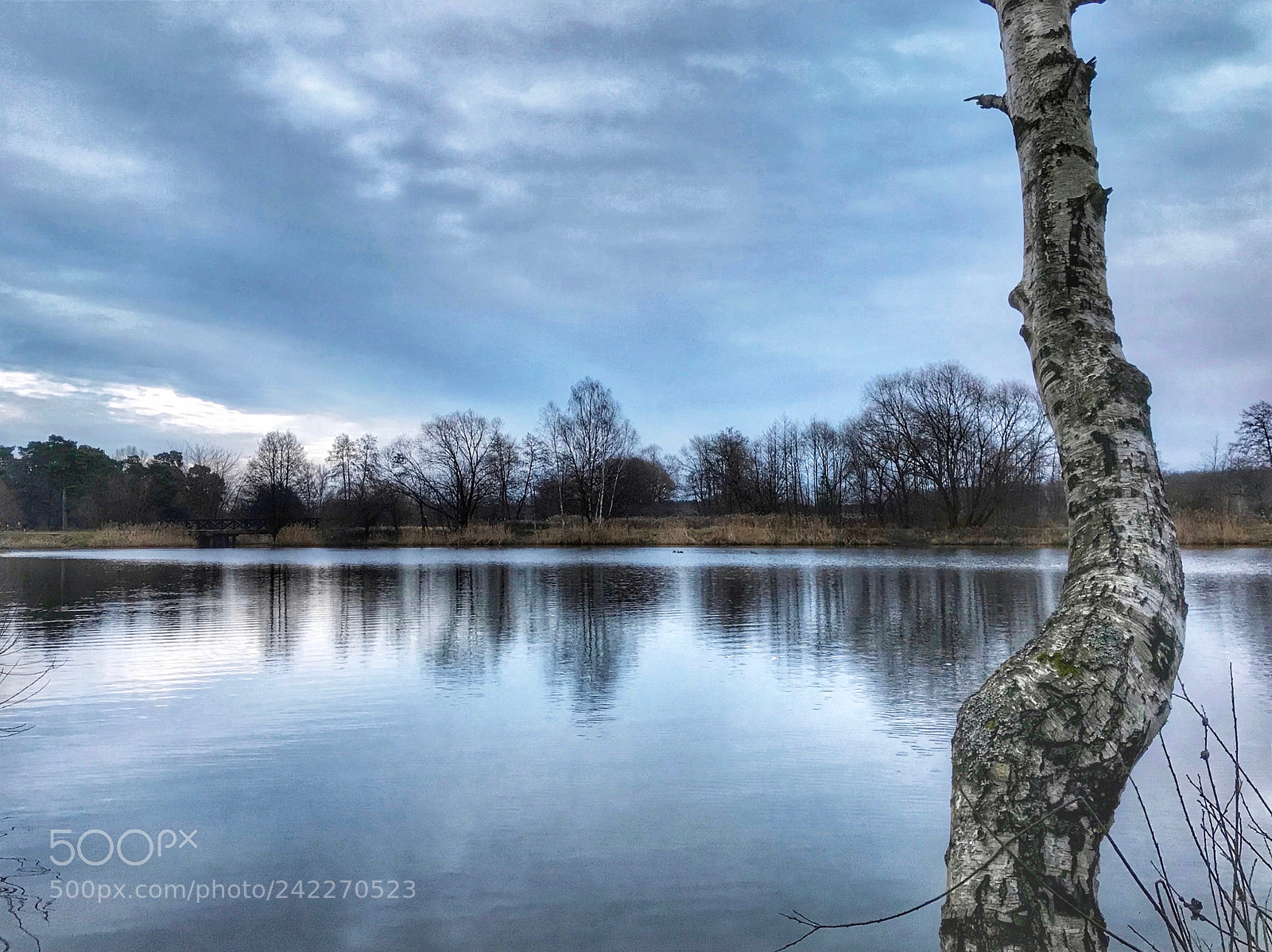 Apple iPhone 7 sample photo. ..city pond 4. photography