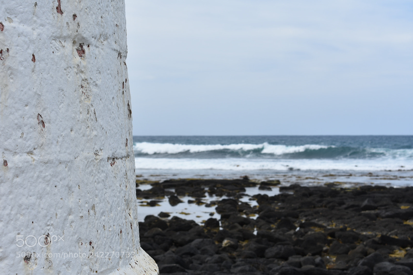 Nikon D3400 sample photo. Untitled photography