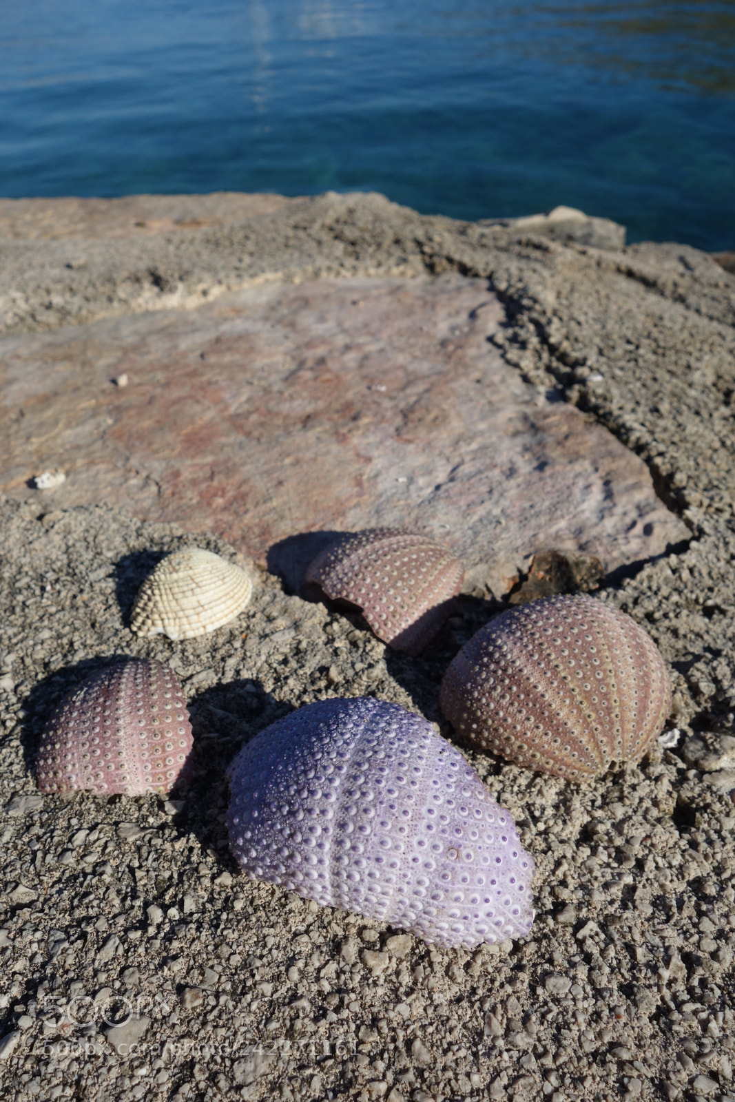 Sony Cyber-shot DSC-RX100 sample photo. Jetsam photography