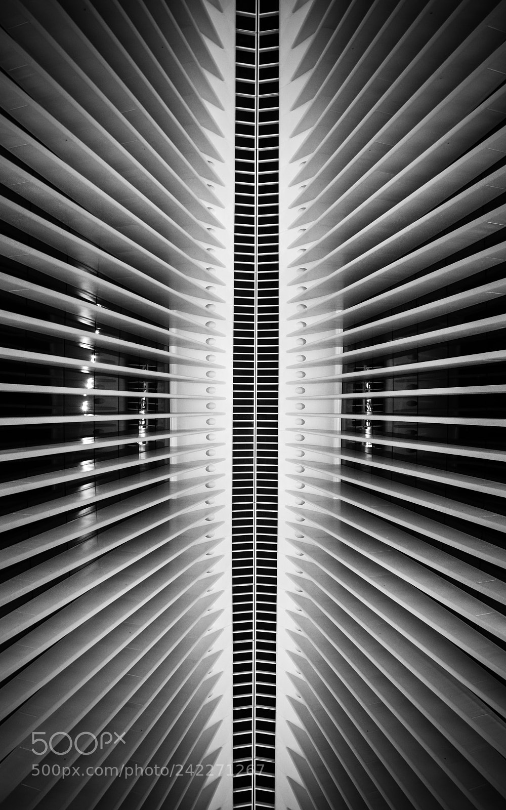 Nikon D7100 sample photo. Oculus photography