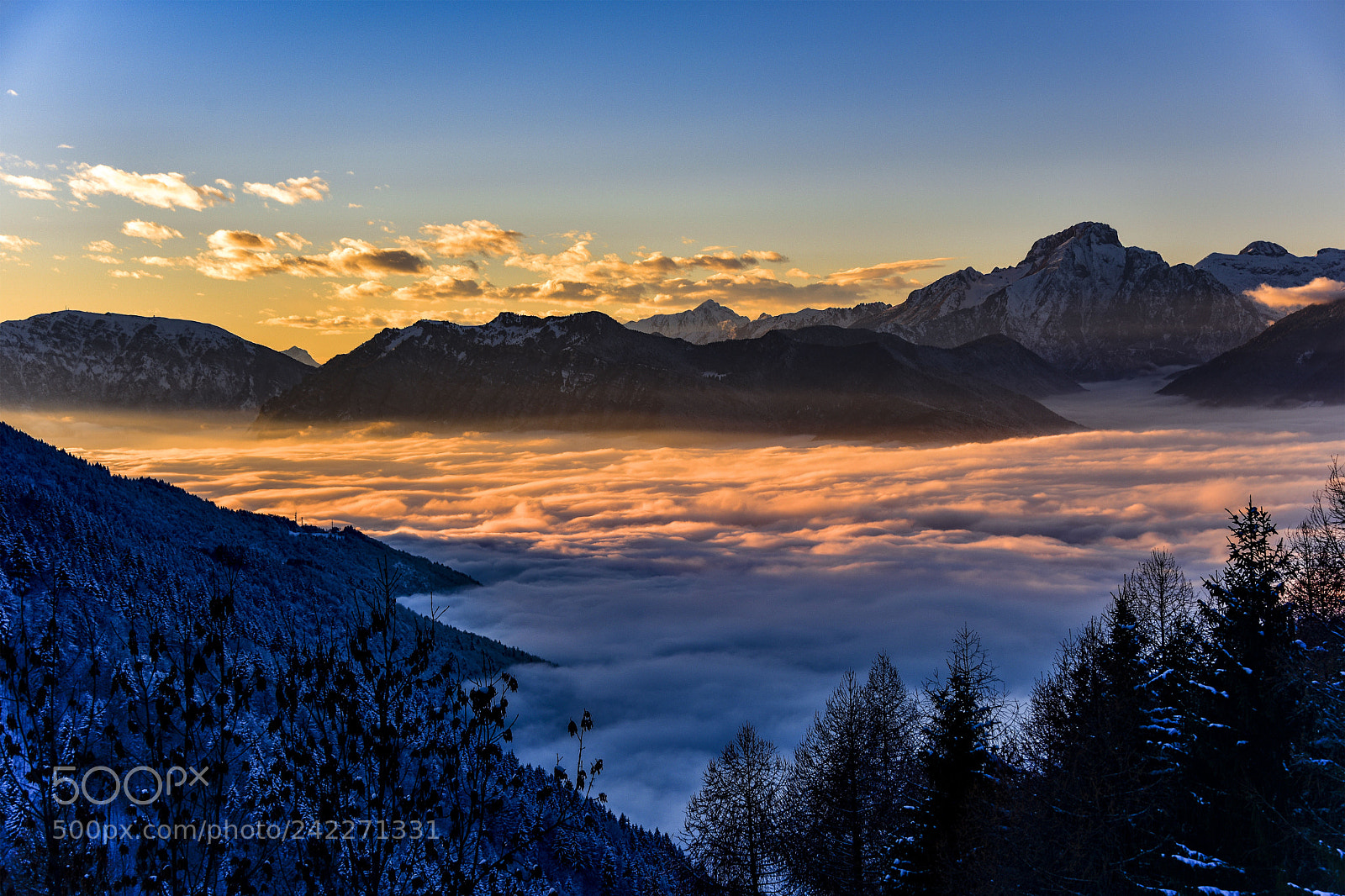 Nikon D810 sample photo. Fog in the valley photography