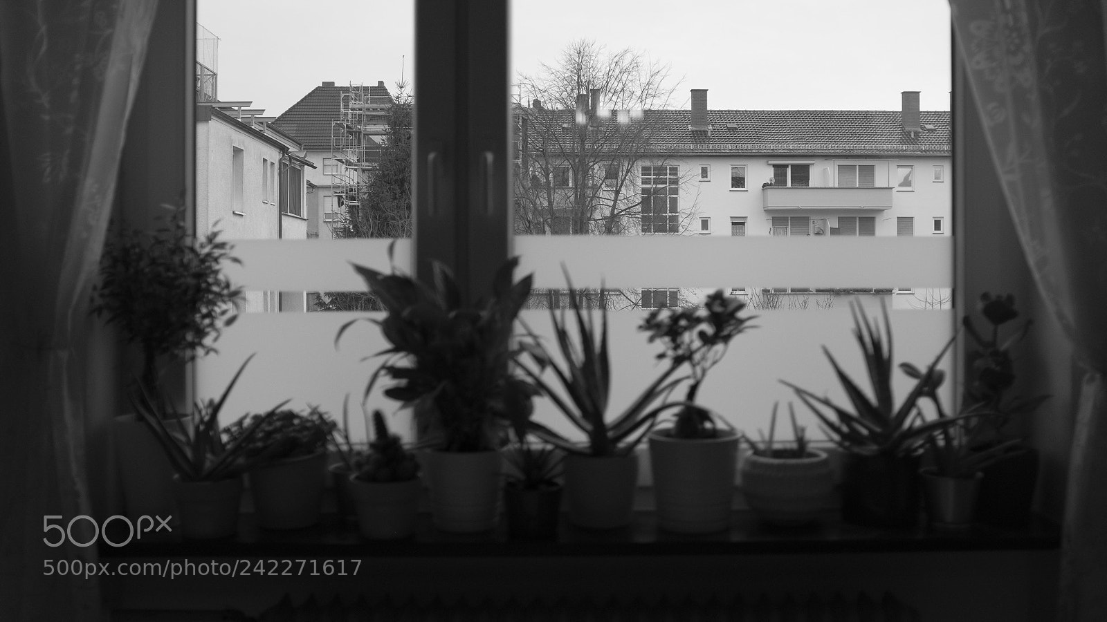 Fujifilm X100F sample photo. Prisoners photography